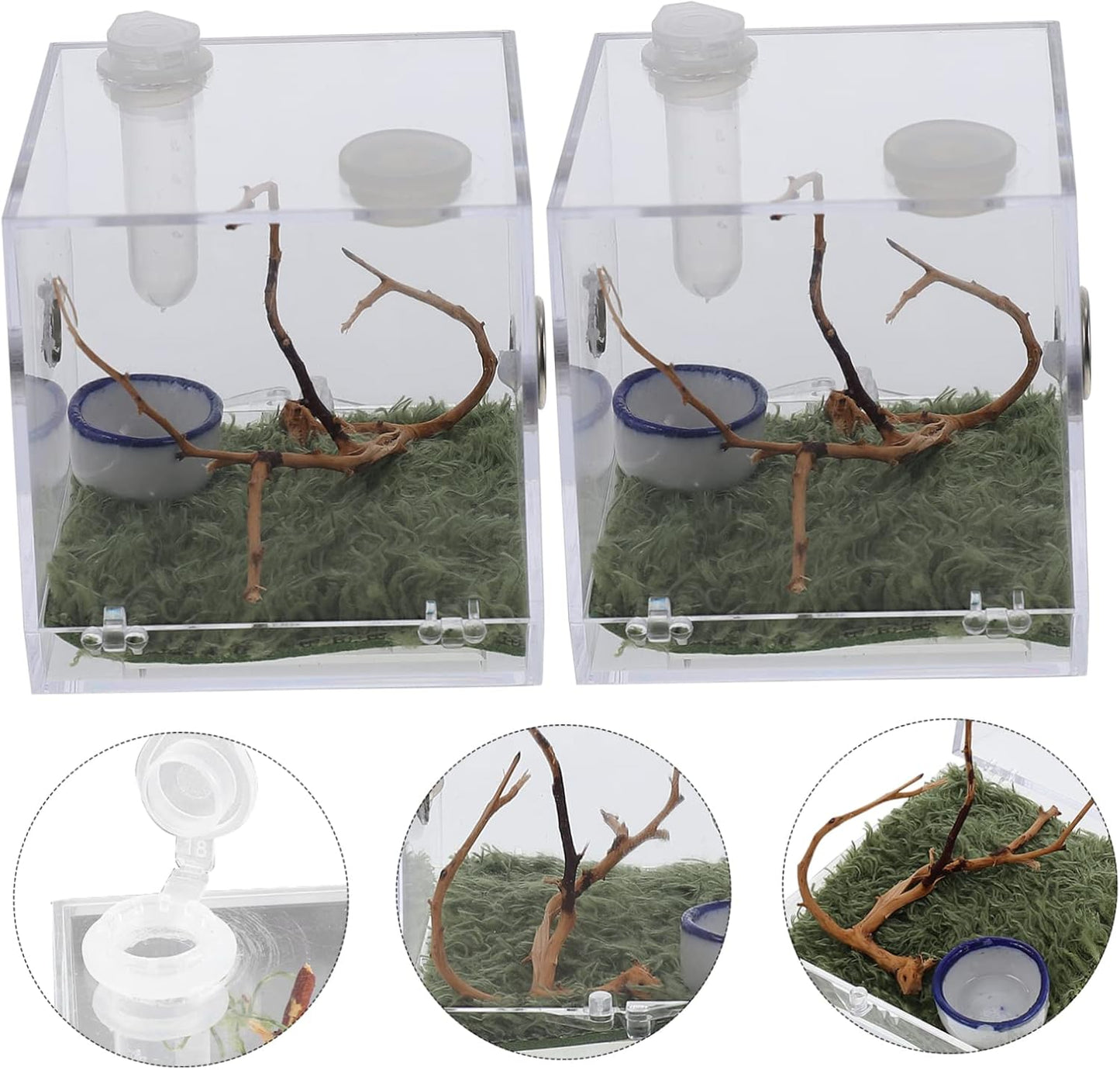 Toyvian 1Set Spider Habitat Box Lightweight Small Pet Breeding Container for Jumping Spider Scorpion Beetle