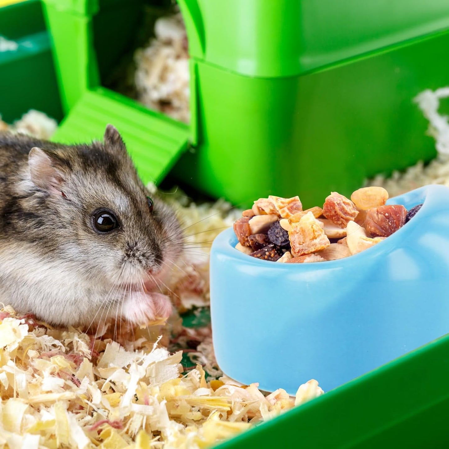 Nivofu 3PCS Hamster Bowl, Ceramic Hamster Bowl, Guinea Pig Bowl, Hedgehog Bowl, Small Animal Food Bowl, Food Bowl for Hamsters, Small Hamster Bowl, Small Animal Bowl for Hamster Gerbil Hedgehog