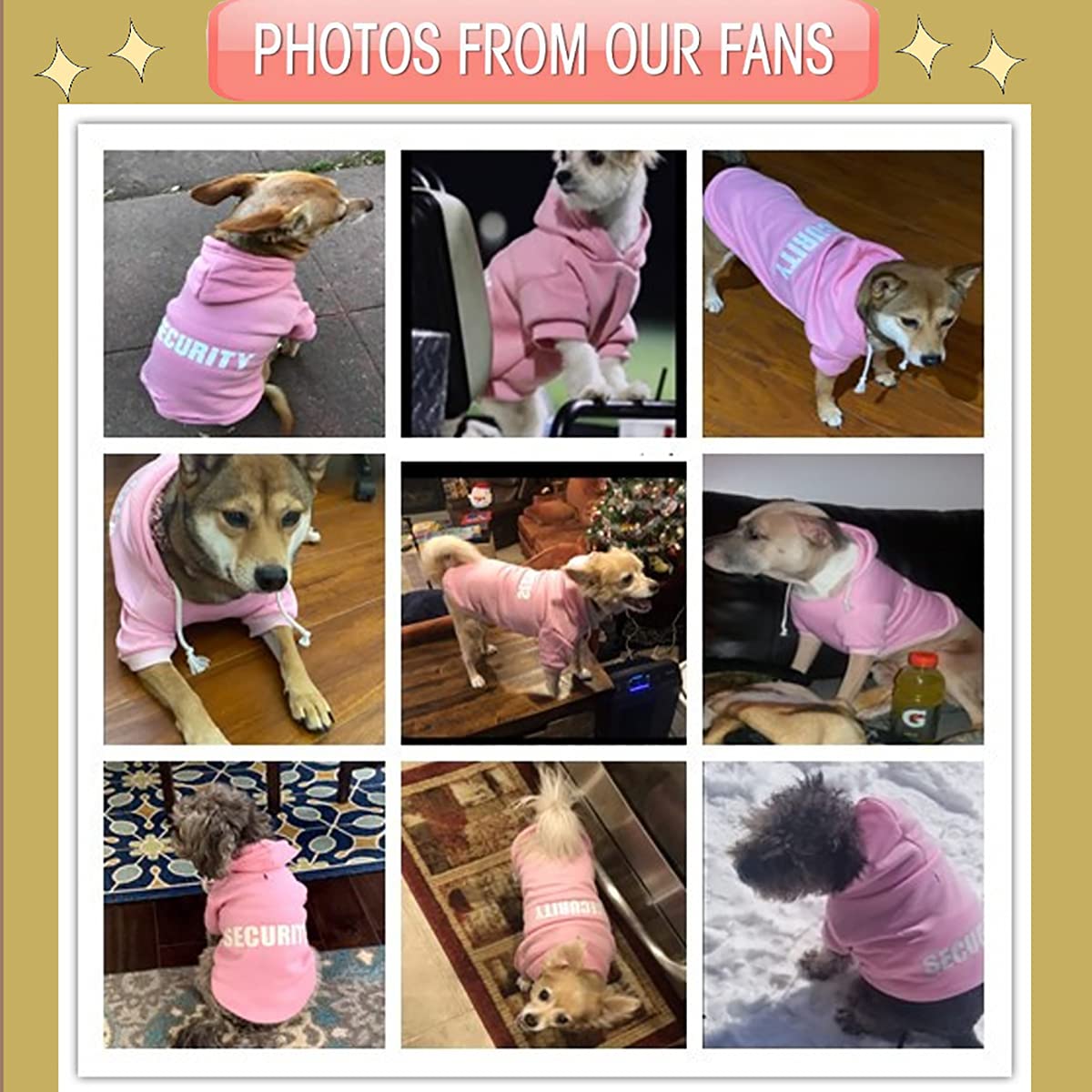 Dog Hoodies Clothes Security Rdc Pet Apparel Winter Sweatshirt Warm Sweater Cotton Jacket Coat Hoodie for Samll Dog Medium Large Cat Black, M - Furr-Reel