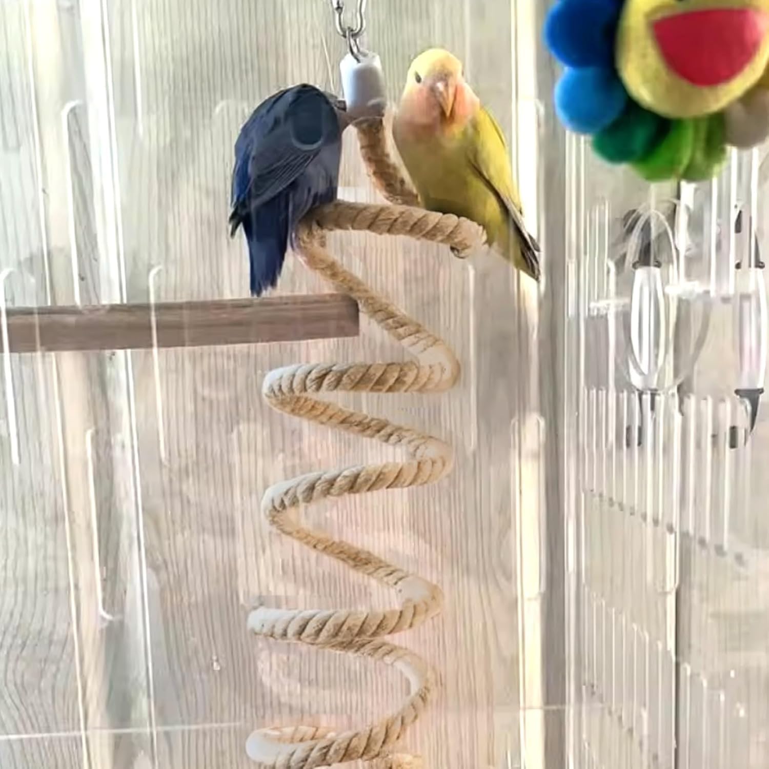 24 Inch Hanging Bird Rope Perch for Parrots, Cockatiels, Budgie, Parakeet & Other Small Birds - Natural Chew Toy & Perching Stand Furr-Reel