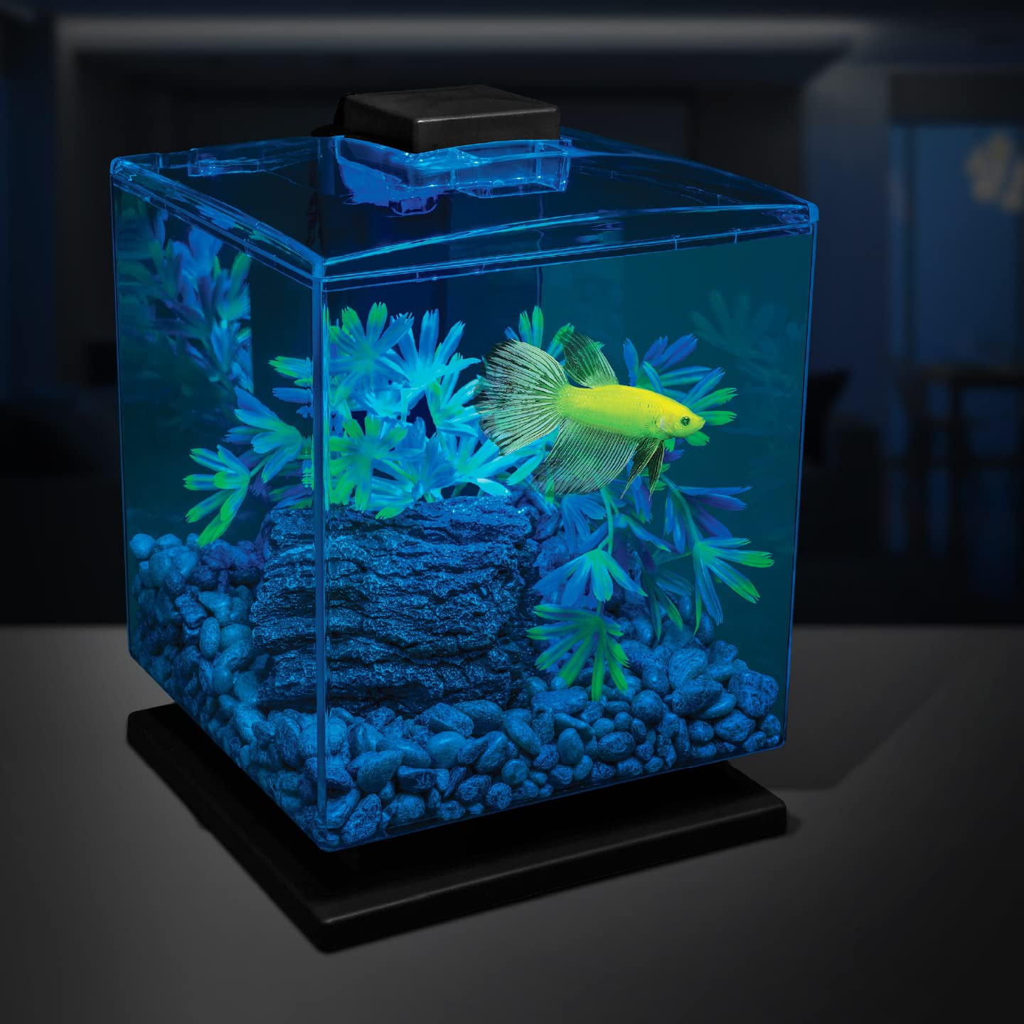Glofish Aquarium Gravel, Black with Fluorescent Highlights, 5-Pound Bag - Furr-Reel
