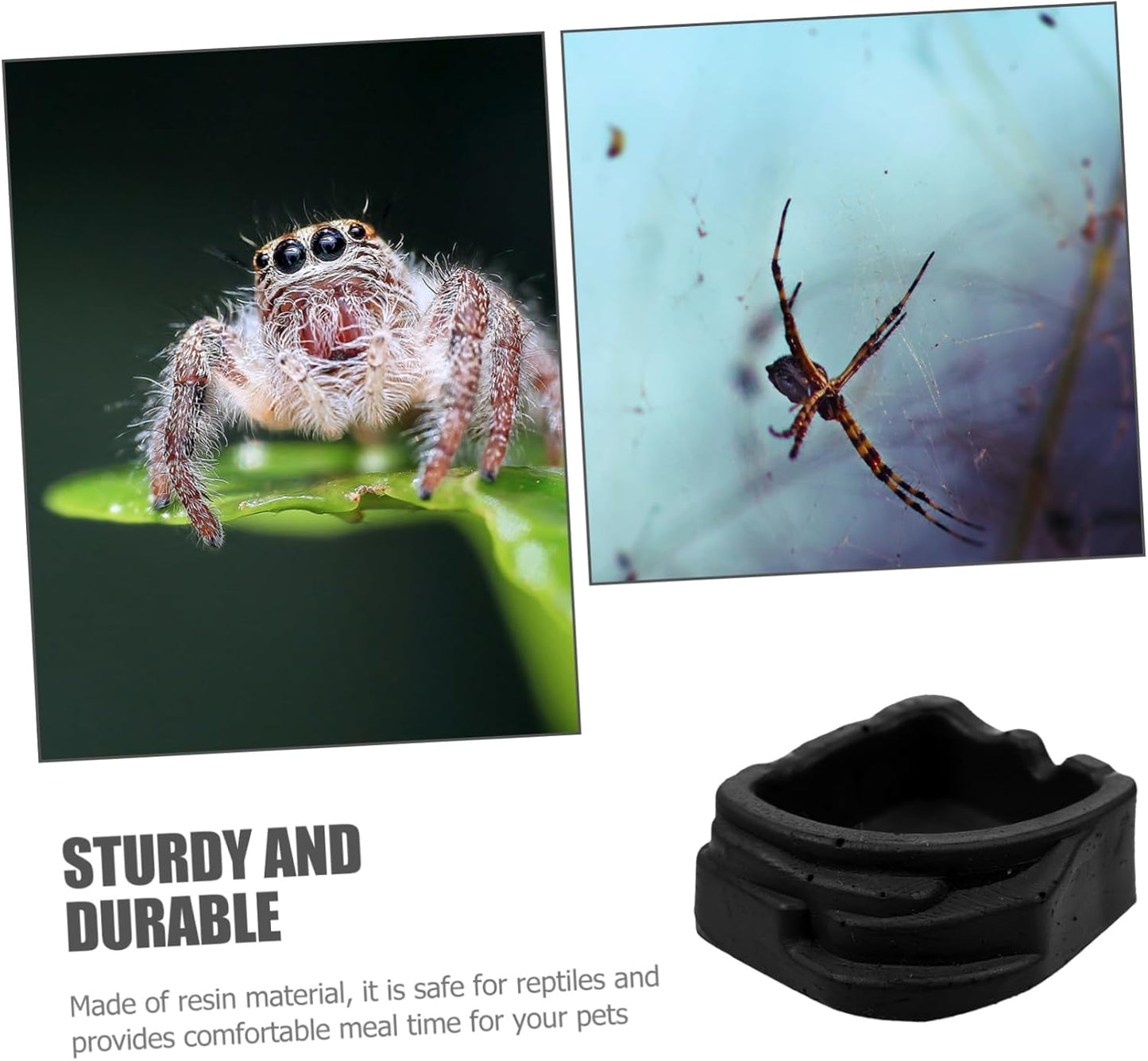 SEWOART 8pcs Water Dish for Small Crawler Sinks Spiders Basins Scorpion Water Feeder Tank Accessories for Reptiles