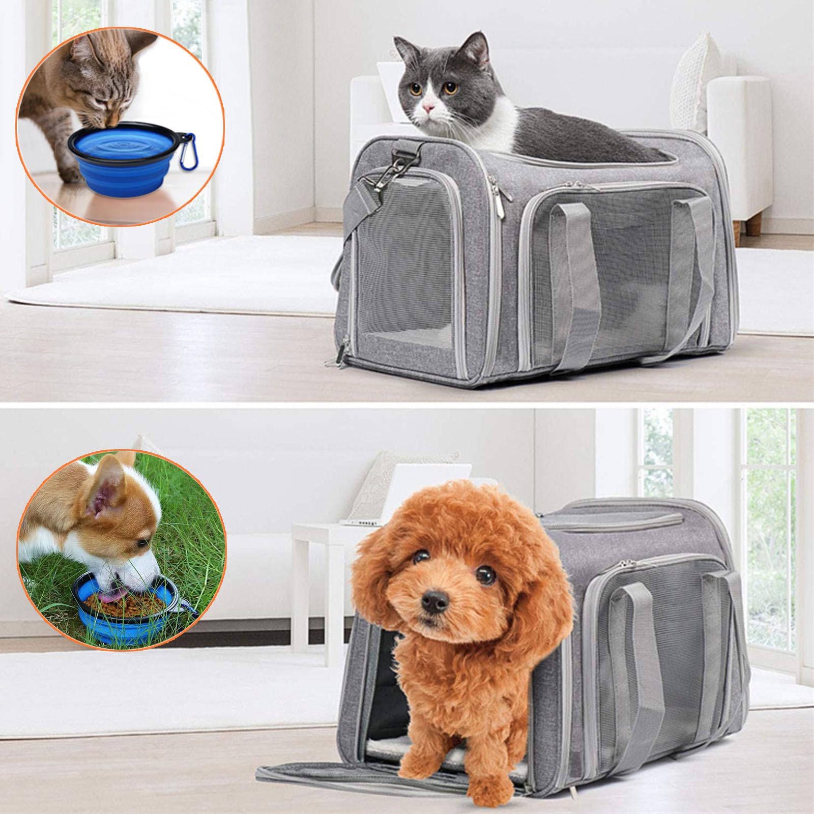 Pet Carrier Airline Approved,Soft Sided Cat Carrier New Upgraded Small Dog Carrier with Lockable Zippers,Breathable Pet Carrier,Dog Carrier for Small Medium Cats Furr-Reel