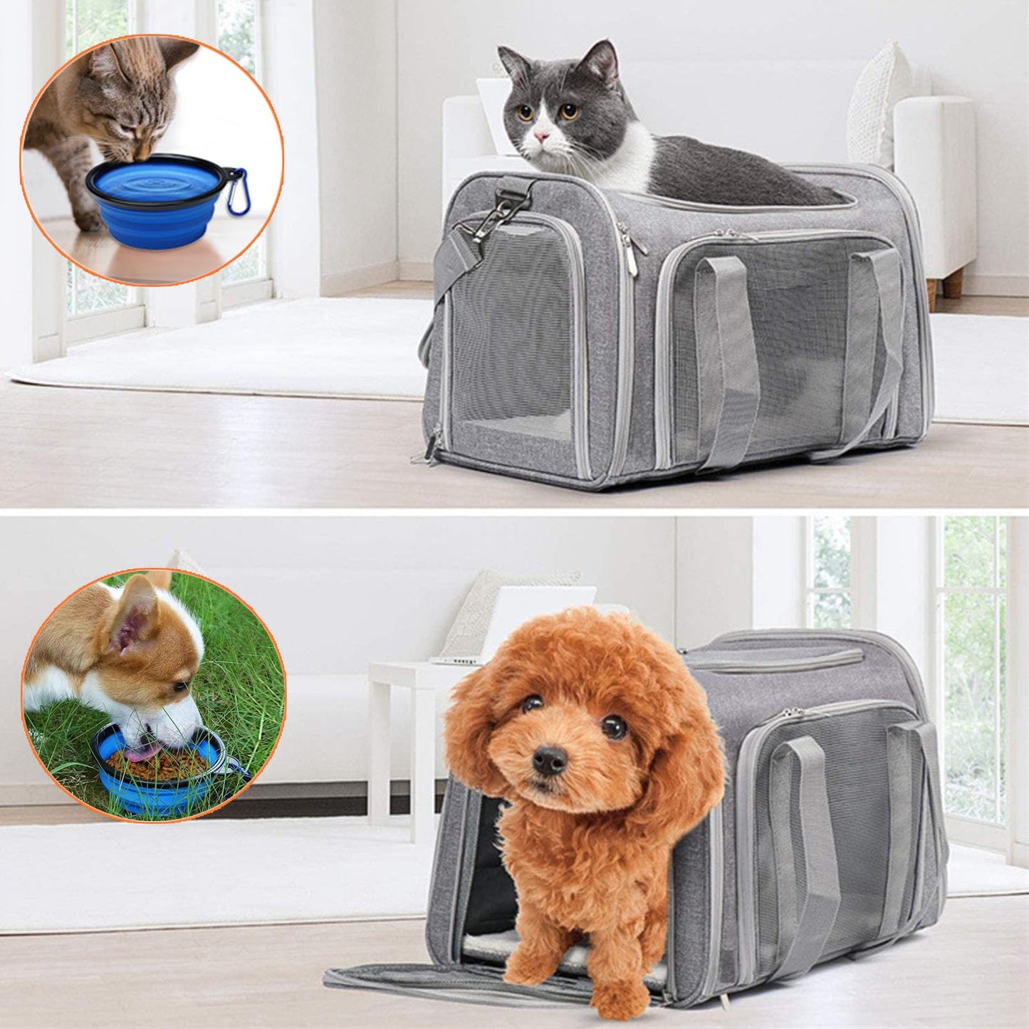 Pet Carrier Airline Approved,Soft Sided Cat Carrier New Upgraded Small Dog Carrier with Lockable Zippers,Breathable Pet Carrier,Dog Carrier for Small Medium Cats Furr-Reel