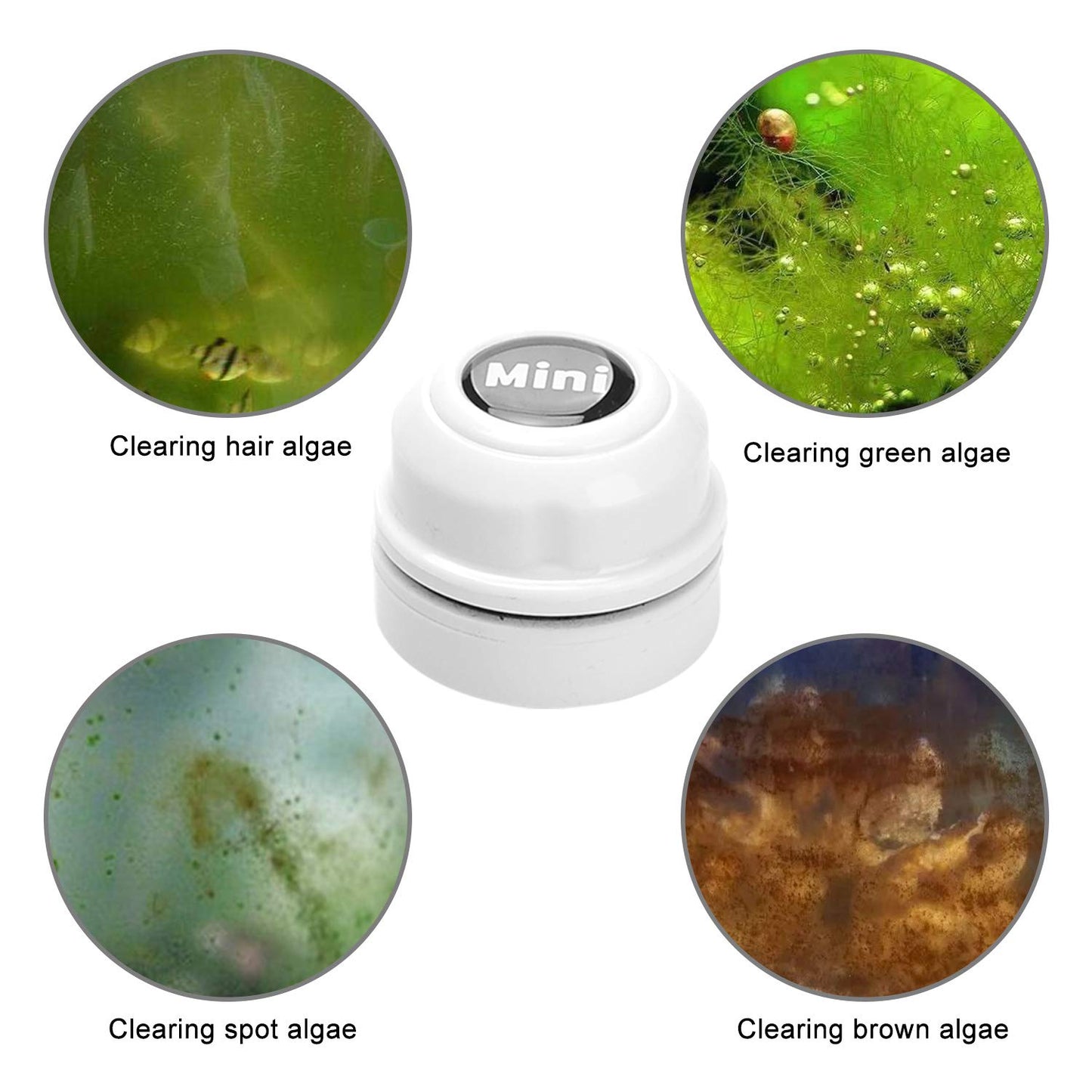 TOP Star Mini Magnet Fish Tank Brush, Aquarium Cleaner, Fish Tank Glass Cleaner, Mini Portable Durable Magnet, Cleaning for Fish Tank and Algae Removal (Green)