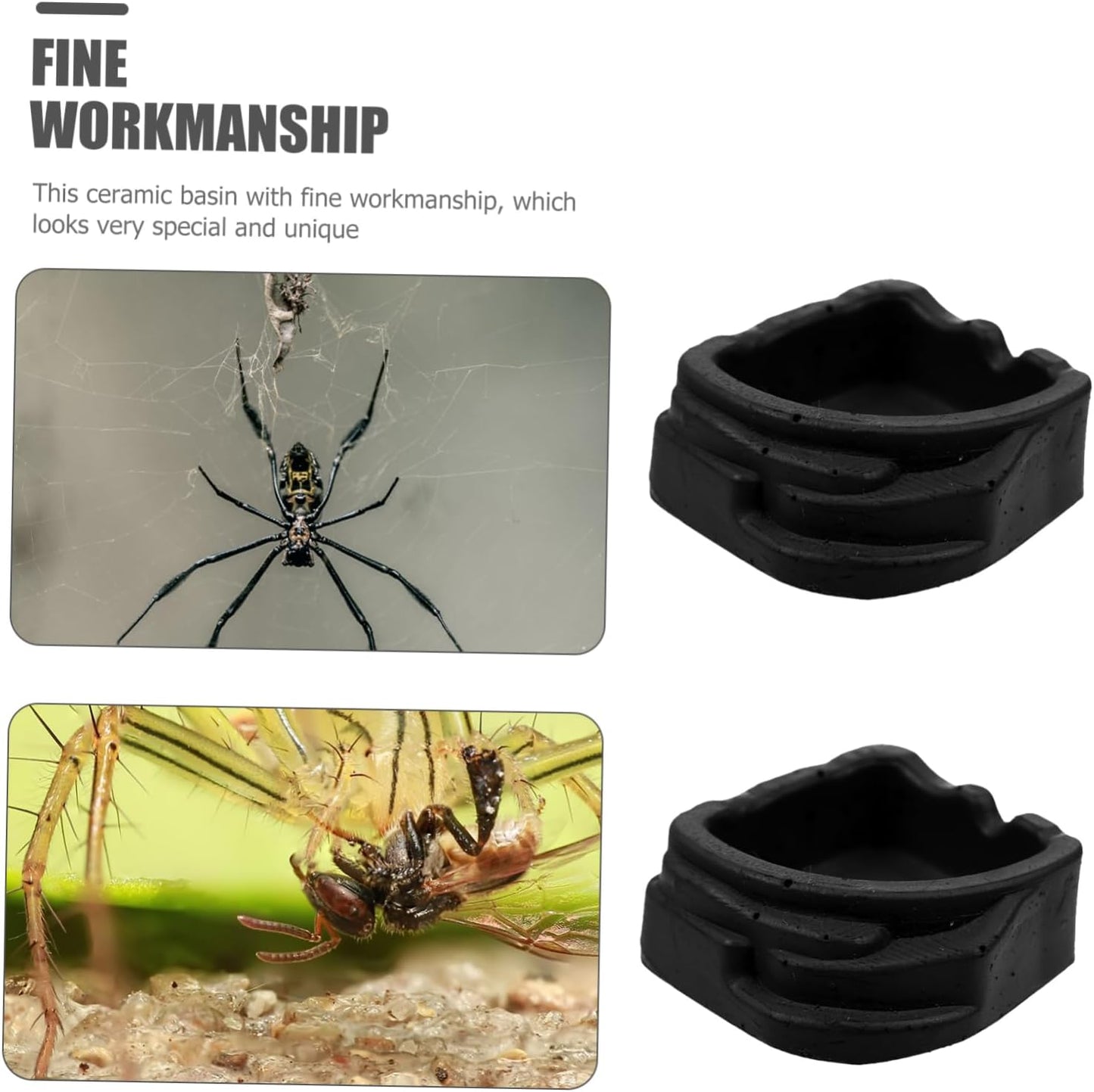 SEWOART 8pcs Water Dish for Small Crawler Sinks Spiders Basins Scorpion Water Feeder Tank Accessories for Reptiles