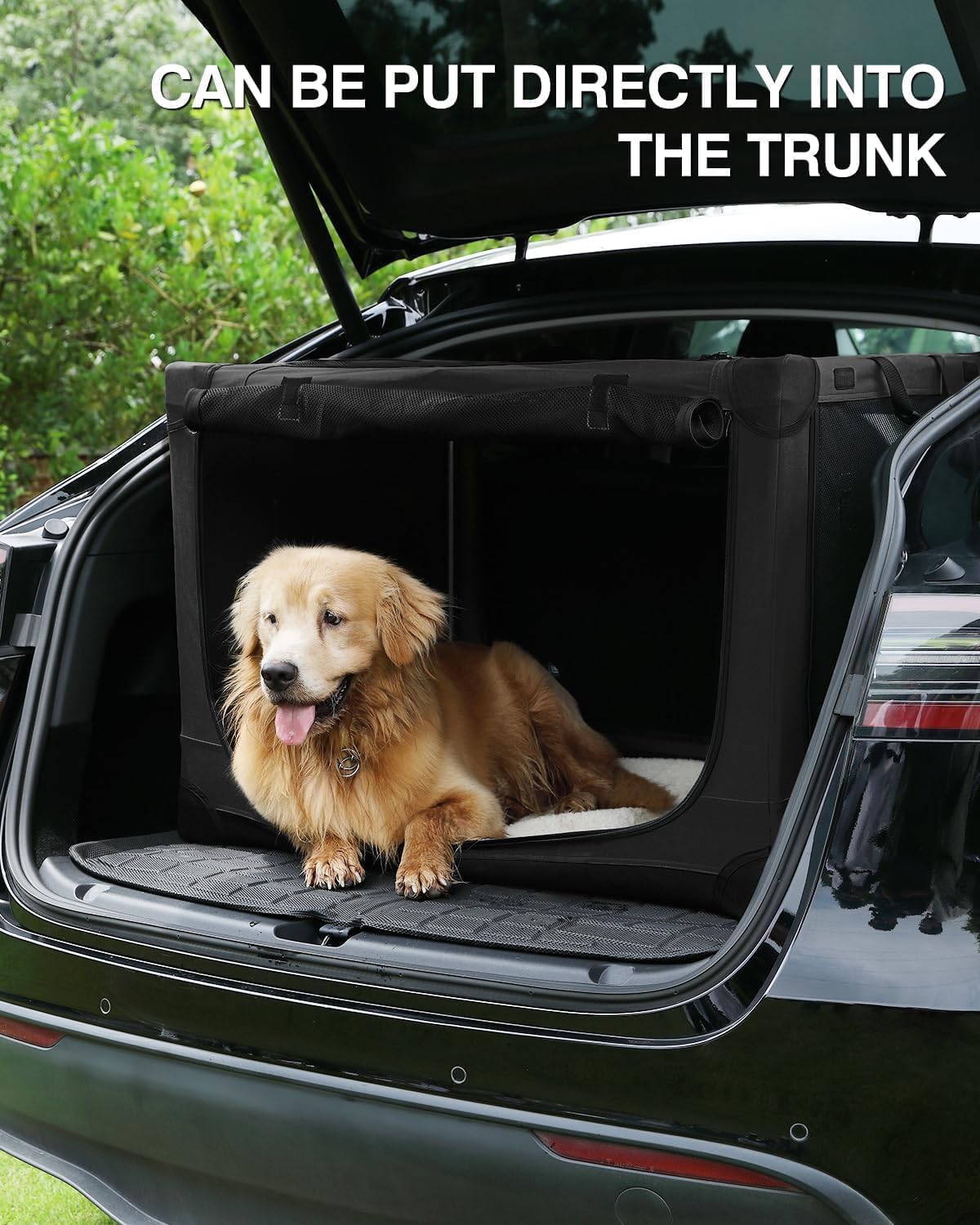 Veraste 30 Inch Collapsible Travel Dog Crate for Medium Large Dogs, Portable Dog Crate 4-Door Foldable Soft Kennel with Chew-Proof Mesh Windows for Indoor & Outdoor, with Storage Bag（Green）