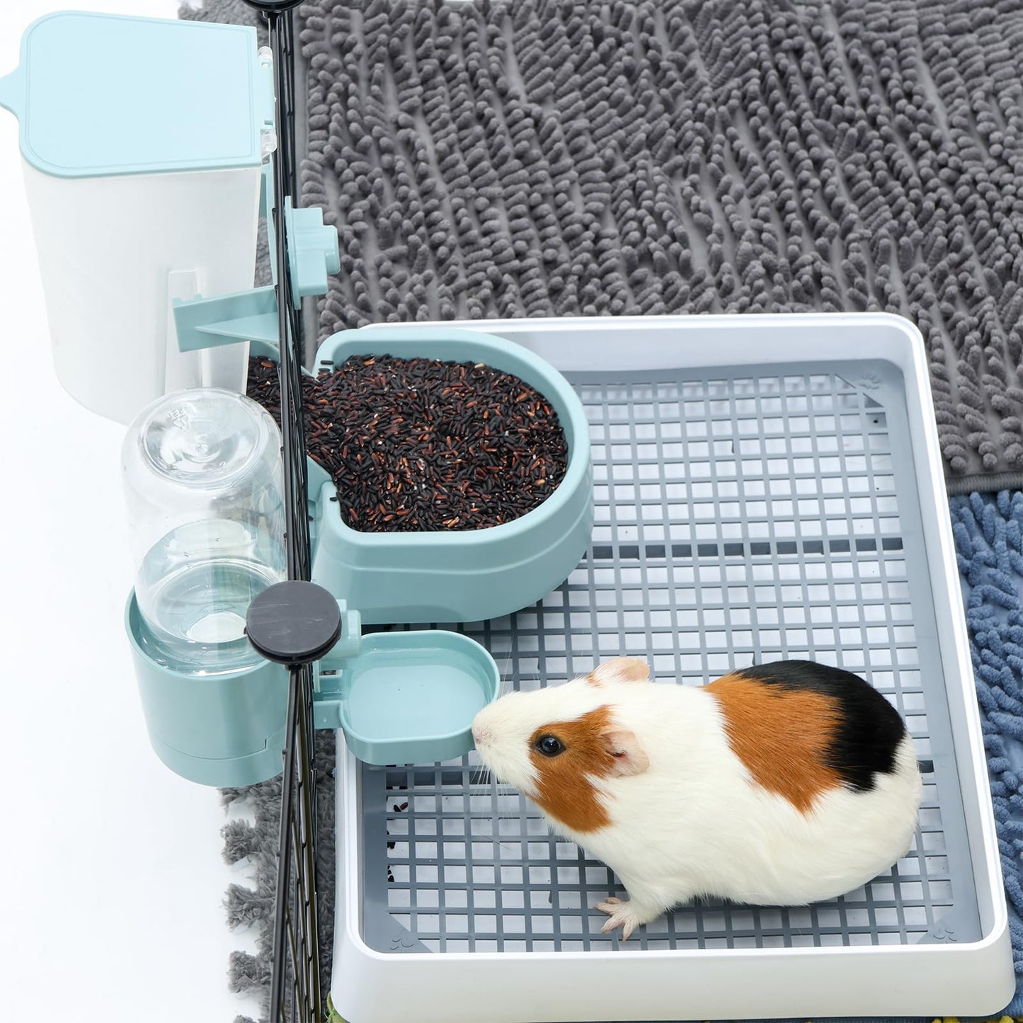 Abreuvoir sans fuite pour lapin, 500 ml, sans goutte, pour cochon d'Inde, hamster, chinchilla, furet de petit animal