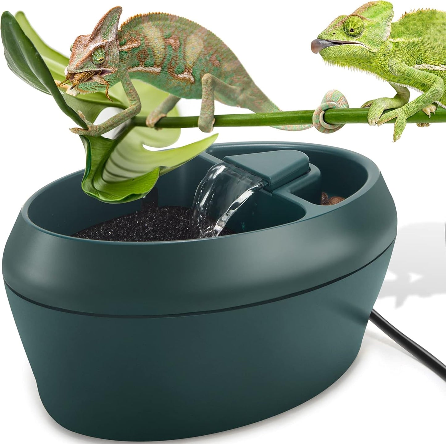 Reptile Chameleon Cantina with Snacks Trough, Drinking Fountain Water Dripper for Amphibians Insects Lizard Turtle Snake Spider Frog Gecko, Comes with Two Pumps (One for Replacement) Furr-Reel