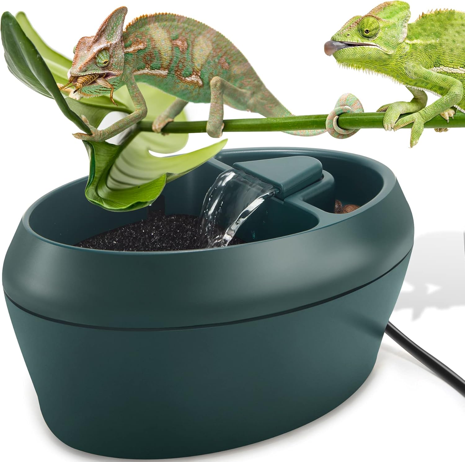 Reptile Chameleon Cantina with Snacks Trough, Drinking Fountain Water Dripper for Amphibians Insects Lizard Turtle Snake Spider Frog Gecko, Comes with Two Pumps (One for Replacement) Furr-Reel
