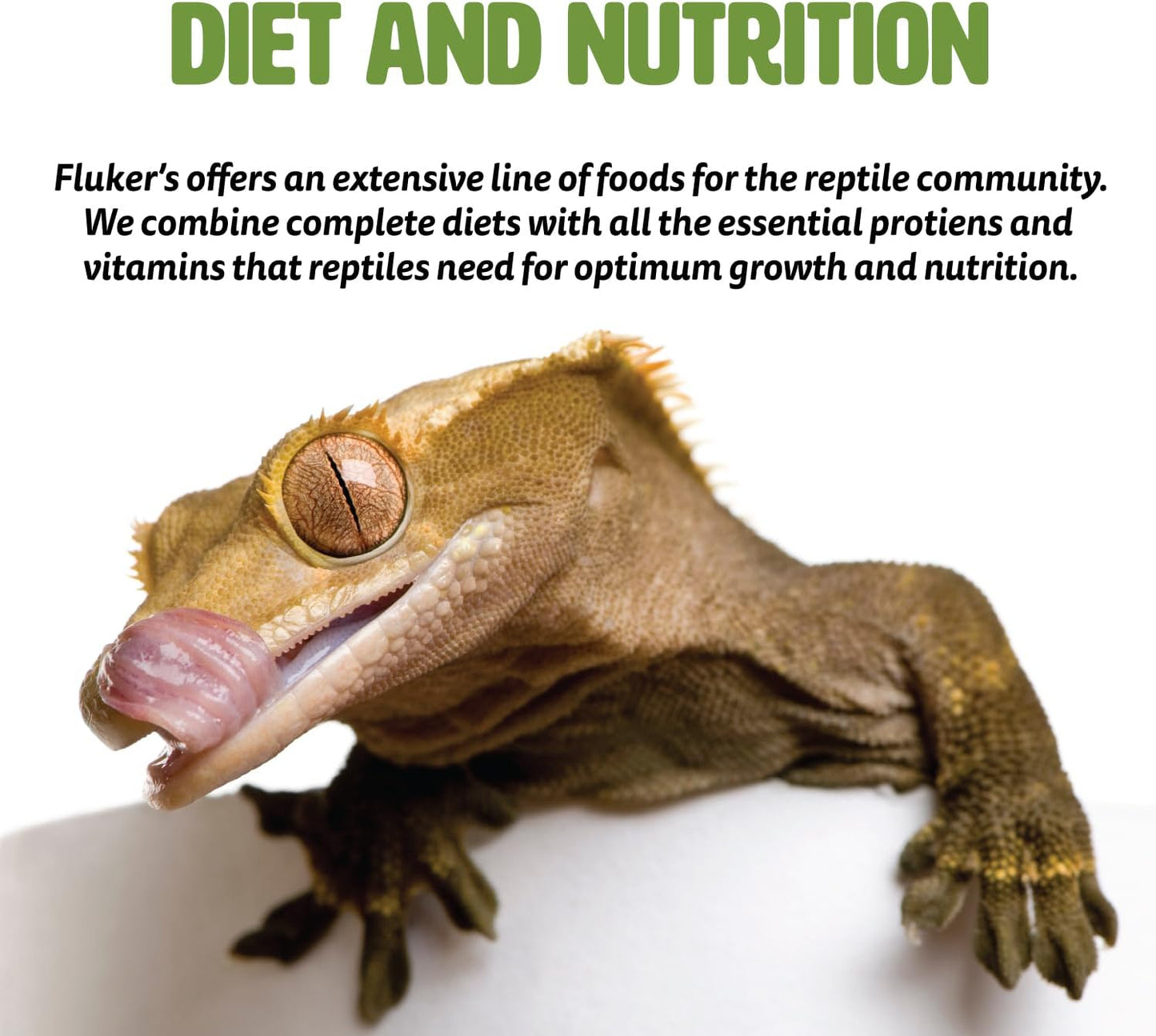 Fluker's Gourmet-Style Canned Dubia Roaches 1.2 oz, Brown - Furr-Reel
