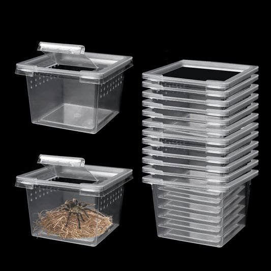 Auch 24 Pcs Insect Spider Terrariums Breeding Box Small Reptile Hatching Container Transparent Cricket Keeper Breeder Box Feeding Spider Cage with Lid for Scorpion Gecko Tortoise (24 Pcs Insect Boxes)