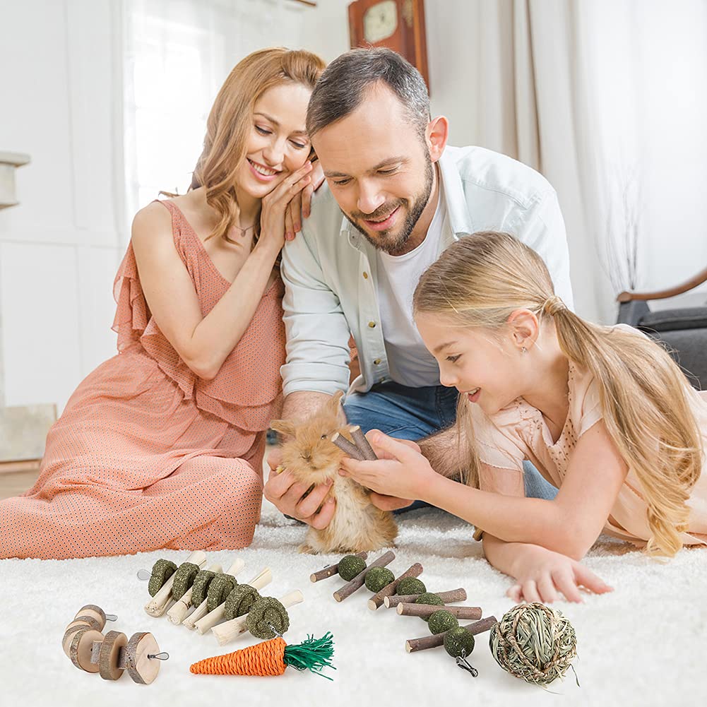 BBjinronjy Rabbit Chew Toys for Teeth,Rabbit Toys Pet Supplies,Guinea Pig Toys,Pet Cage Entertainment Accessories Handmade for Bunny Chinchilla Guinea Pig Hamsters Rat Gerbil (with 3pcs Molar String)