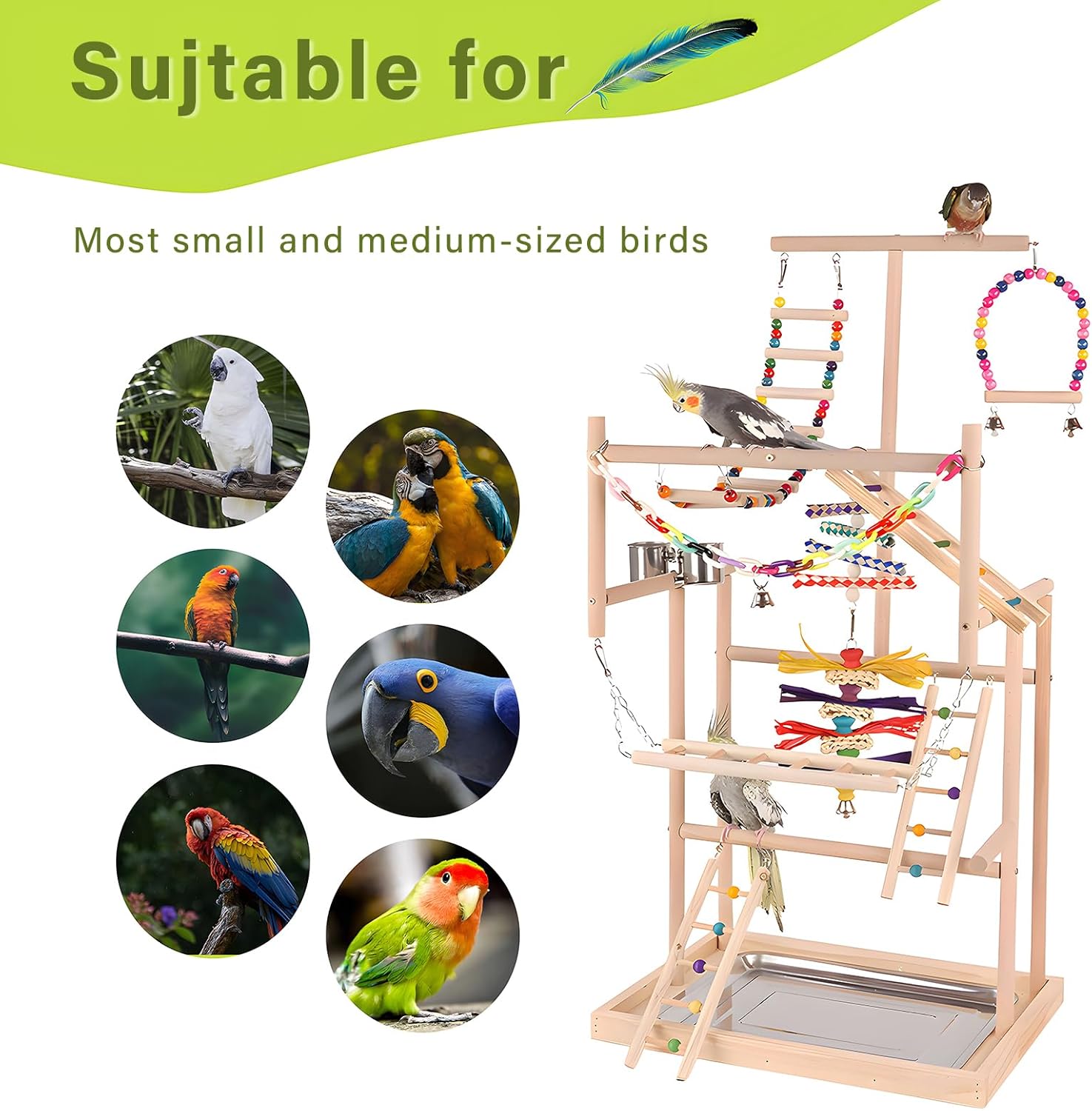 Bird Playground, Bird Stand, Pet Bird Parrot Playground, 4 Layers Pet Parrot Playstand with Exercise Toys Swings Feeder Cups, Bird Play Stand Wood Perch Gym Playpen Ladder for Cockatiel Parakeet Furr-Reel