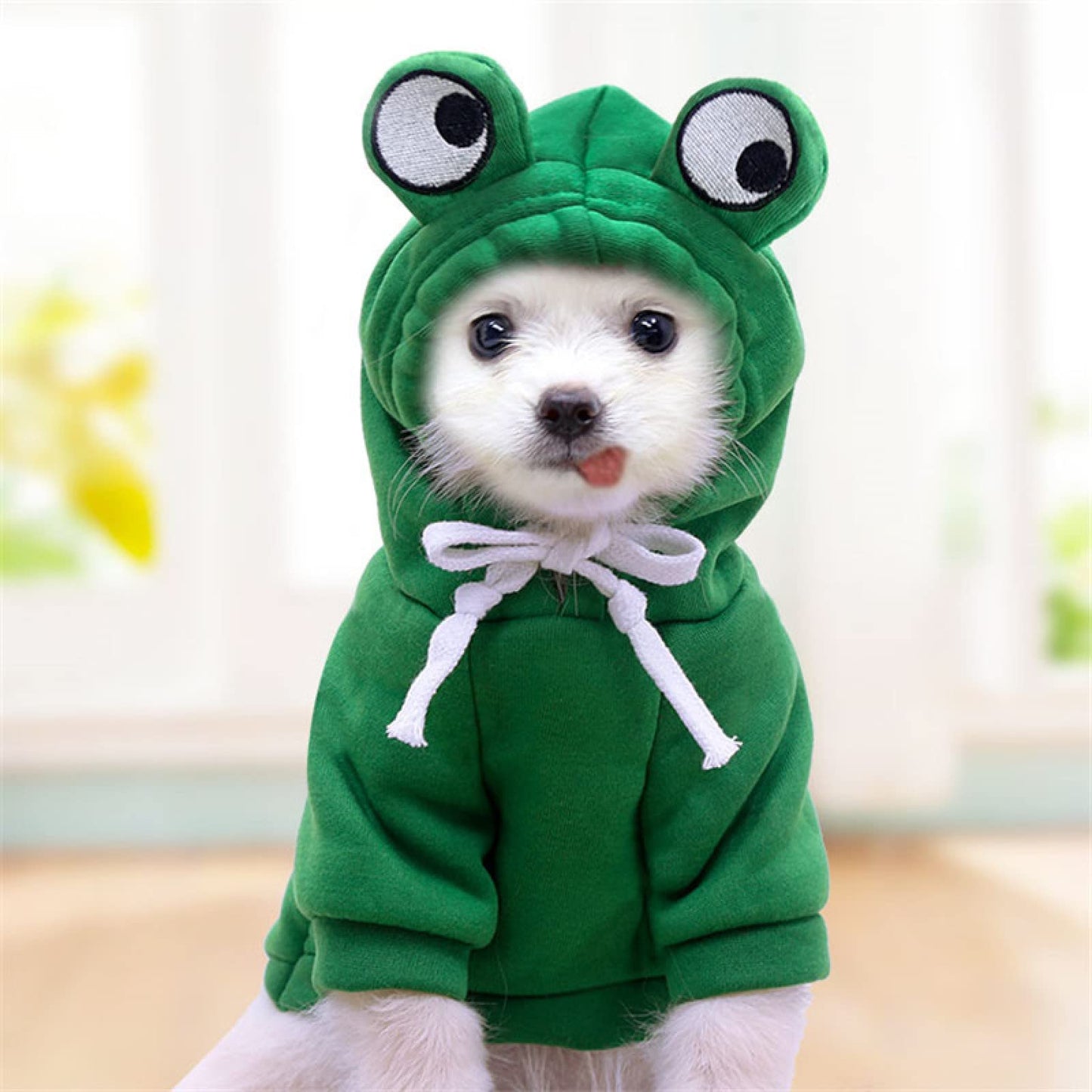 Warm Dog Winter Clothes Cute Fruit Dog Coat Hoodies Fleece Pet Dogs Costume Jacket for French Bulldog Chihuahua Ropa para Perro(Green,S)