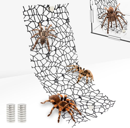 Niuohoy 4 Pack Tarantula Enclosure Accessories Jumping Spider Habitat Accessories with 16pcs Magnets Spider Terrarium Decoration Praying Mantis Habitat Jumping Spider Climbing Mesh (Black)
