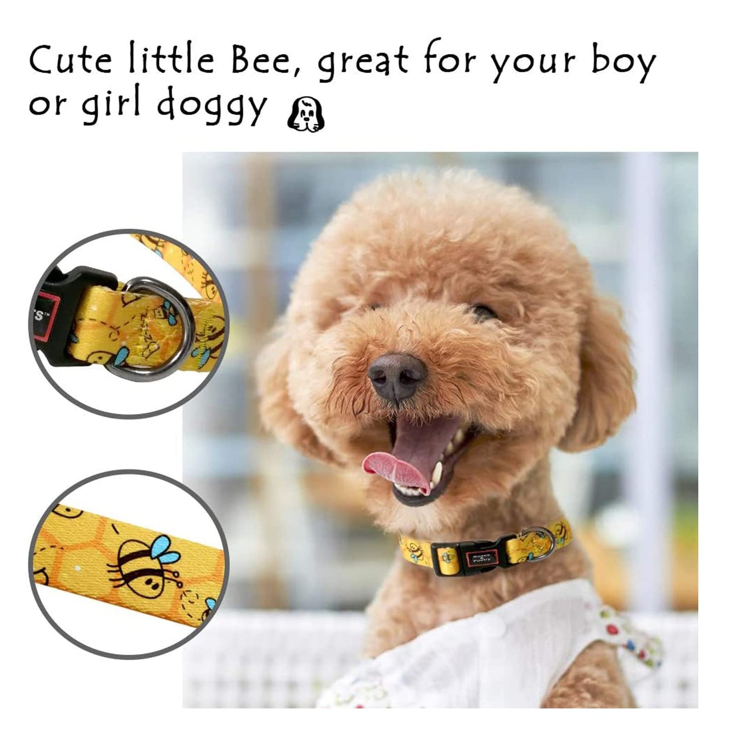 Roses&Poetry Dog Collar and Lead for Small, Adjustable Durable 5ft Puppy Leash Collar for Dog Training Lead (Black & White-S) - Furr-Reel