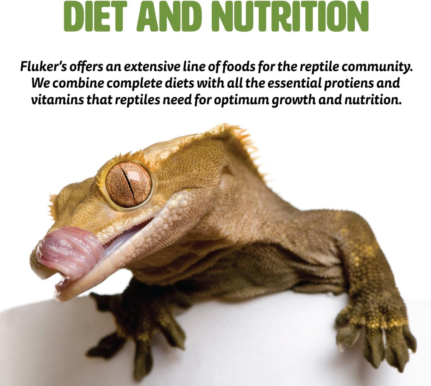 Fluker's 71000 High Calcium Cricket Diet, 11.5 oz