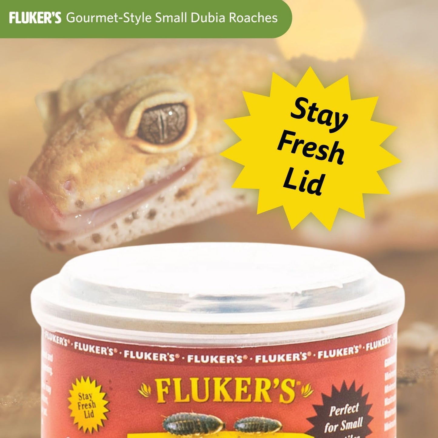Fluker's Gourmet-Style Canned Dubia Roaches 1.2 oz, Brown - Furr-Reel