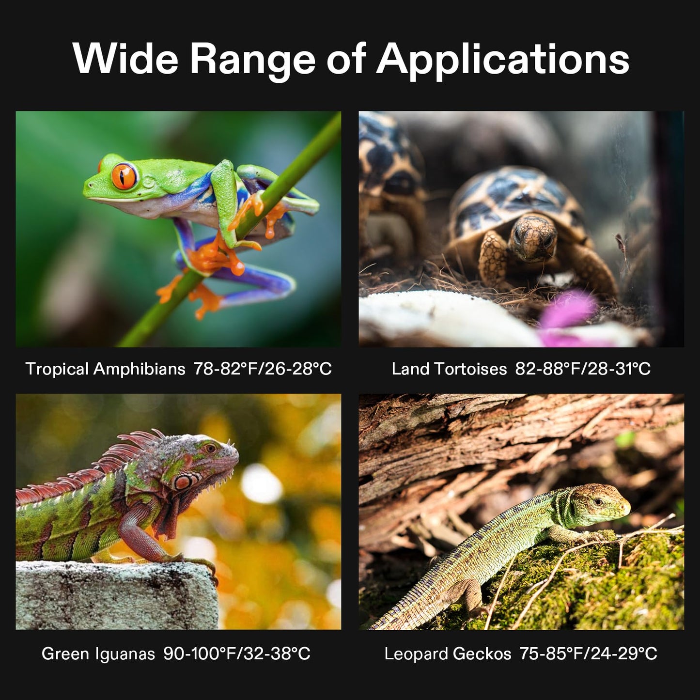 VIVOSUN Tapis chauffant pour reptiles de 15,2 x 20,3 cm avec thermostat combiné sous réservoir pour terrarium, surface imperméable pour tortues, lézards, grenouilles et autres reptiles