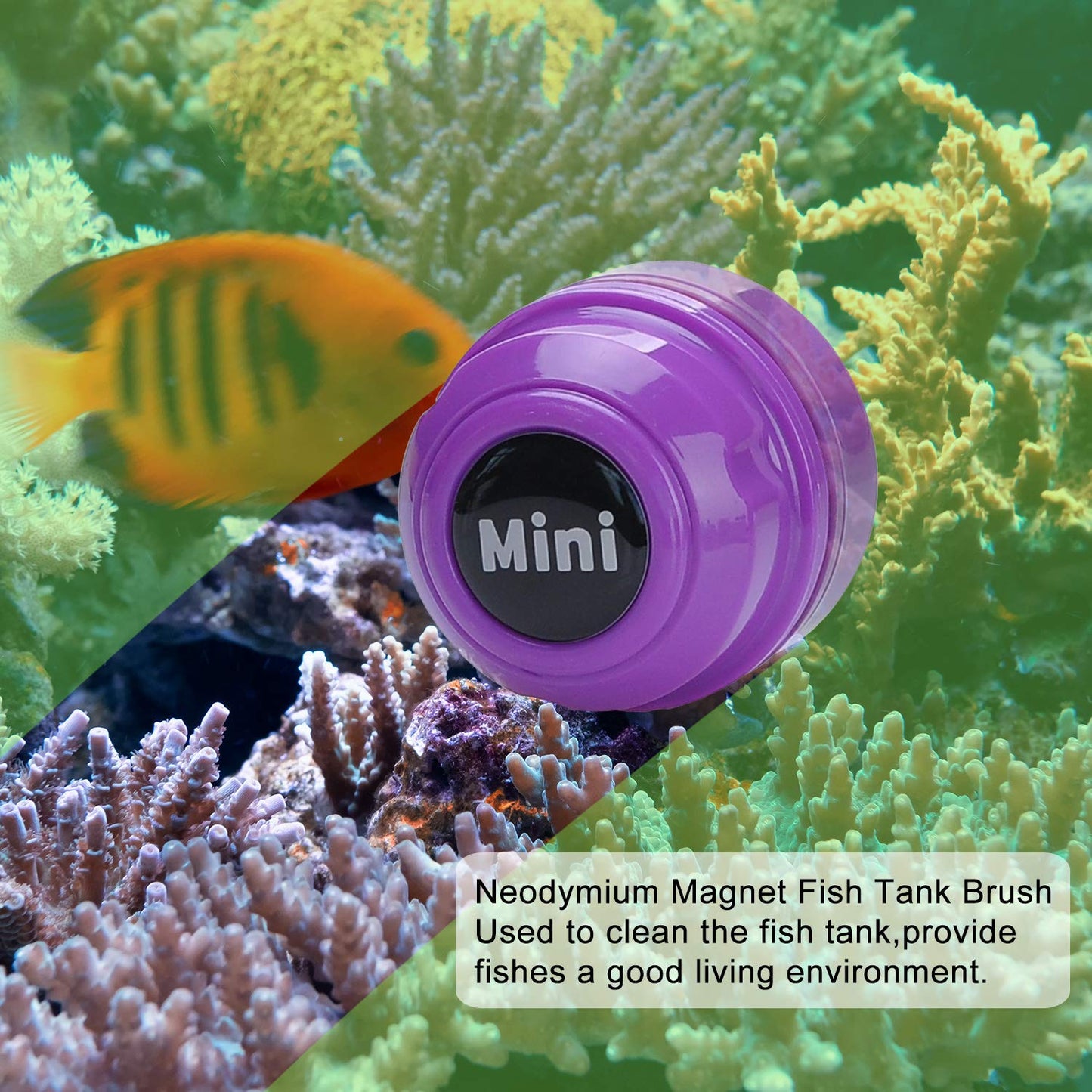 TOP Star Mini Magnet Fish Tank Brush, Aquarium Cleaner, Fish Tank Glass Cleaner, Mini Portable Durable Magnet, Cleaning for Fish Tank and Algae Removal (Green)