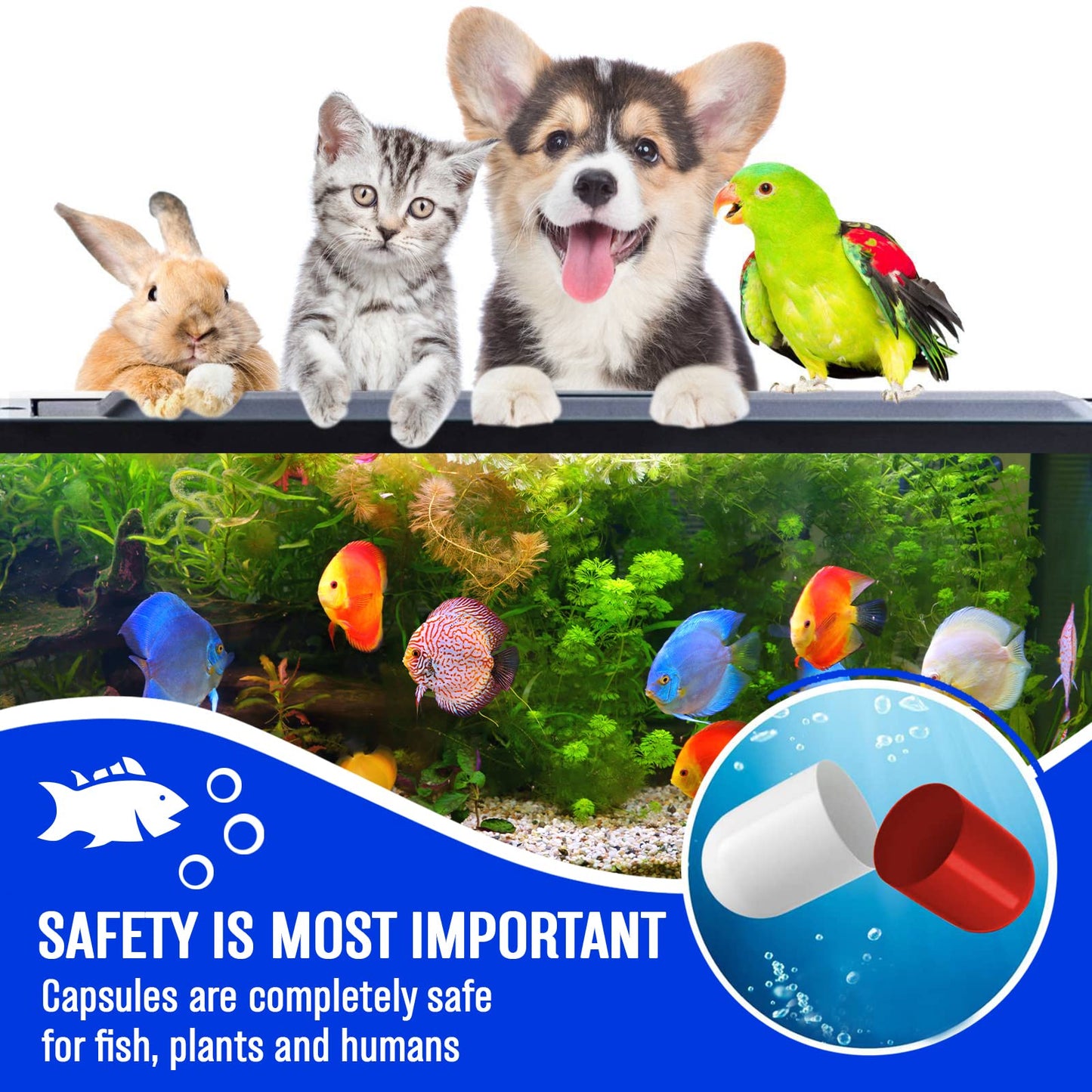 Beseder Nettoyant biologique pour aquarium Rend l'eau plus saine, réduit les nitrites et l'ammoniac pour des poissons heureux et beaucoup moins de nettoyage. Fournitures d'aquarium pour filtre