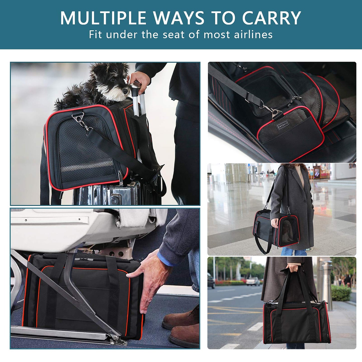 Petsfit Rabbit Carrier Bunny Carriers, Airline Approved Soft-Sided Pet Carrier for Guinea Pig/Cat/Dog/Kittens/Puppy, 16"x 10"x 9"