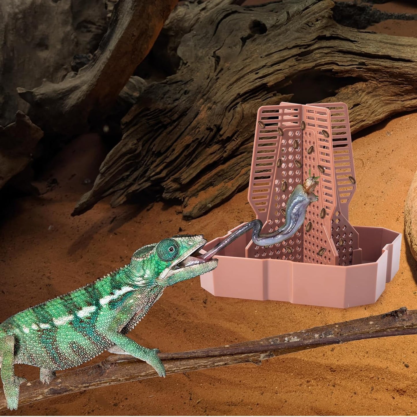 SLSON Mangeoire pour reptiles - Dragon barbu - Bol de proie avec design grimpable pour reptiles pour chasser, caméléon, lézard, gecko, grenouille - Accessoires de terrarium