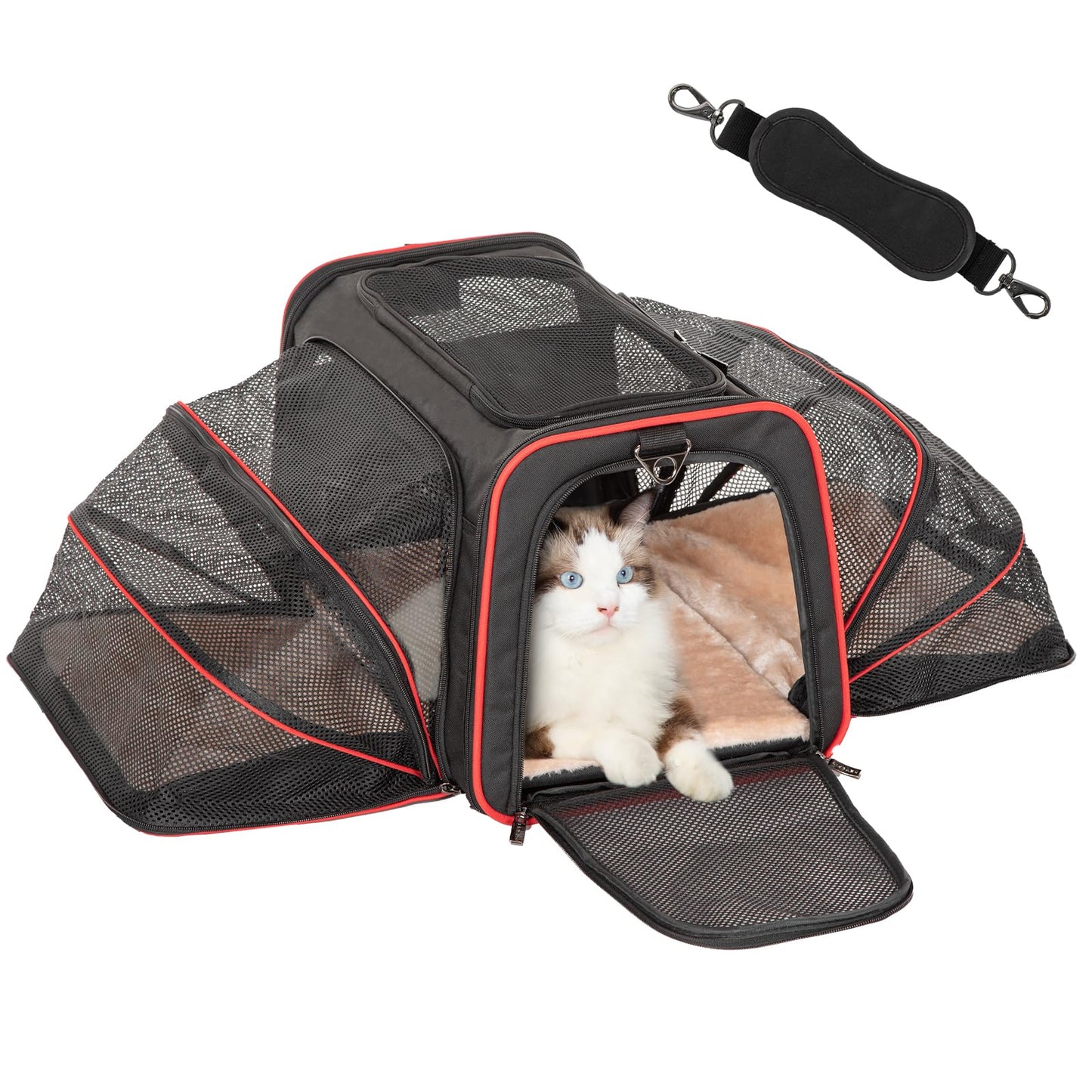 Petsfit Rabbit Carrier Bunny Carriers, Airline Approved Soft-Sided Pet Carrier for Guinea Pig/Cat/Dog/Kittens/Puppy, 16"x 10"x 9"