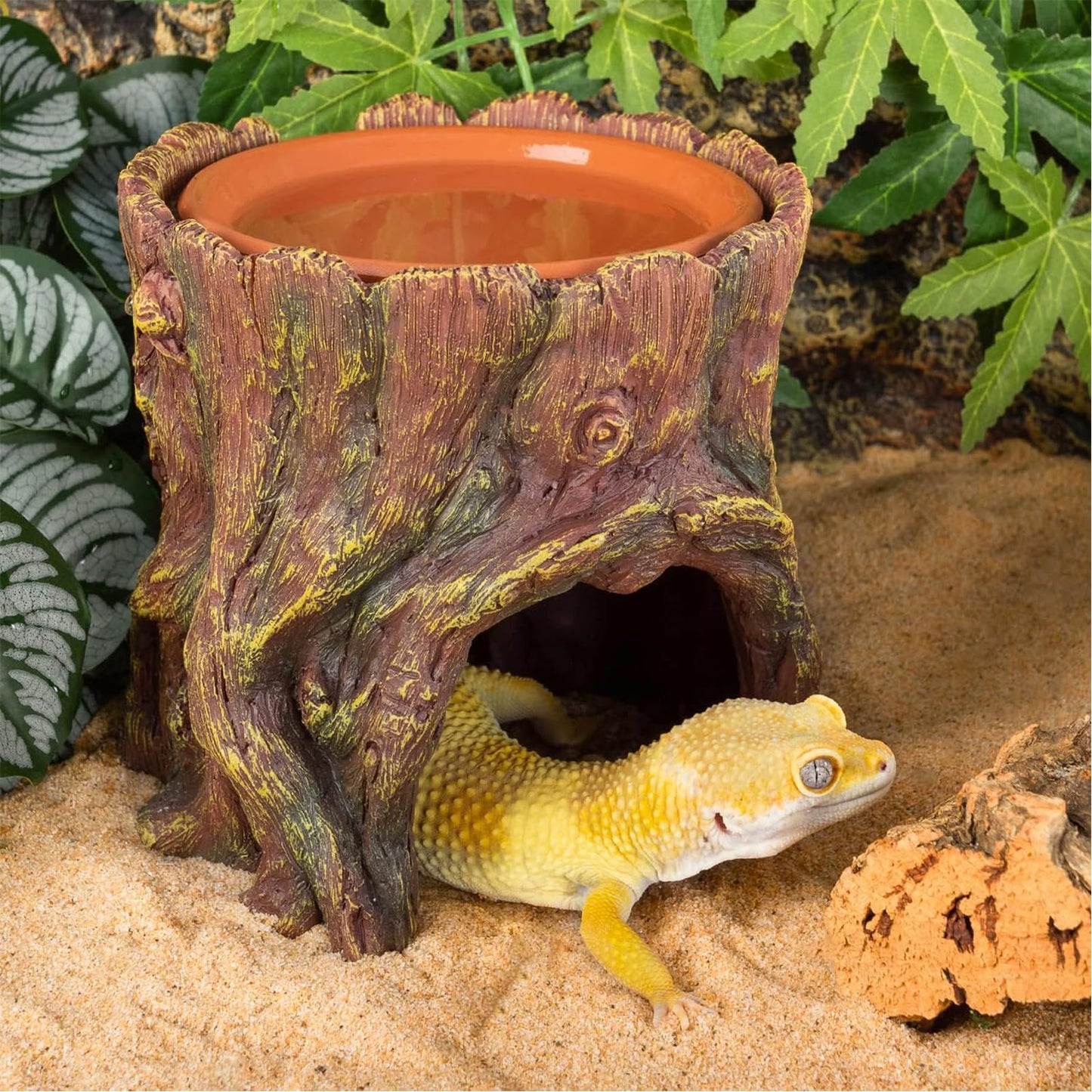 3 in 1 Reptile Hide Cave with Detachable Base & Humidity Dish for Bearded Dragon, Tank Terrarium Decor Humid Hideout for Small Reptiles Crested Gecko, Leopard, Lizard, Snake, Crabs (Hideout 3 in 1)