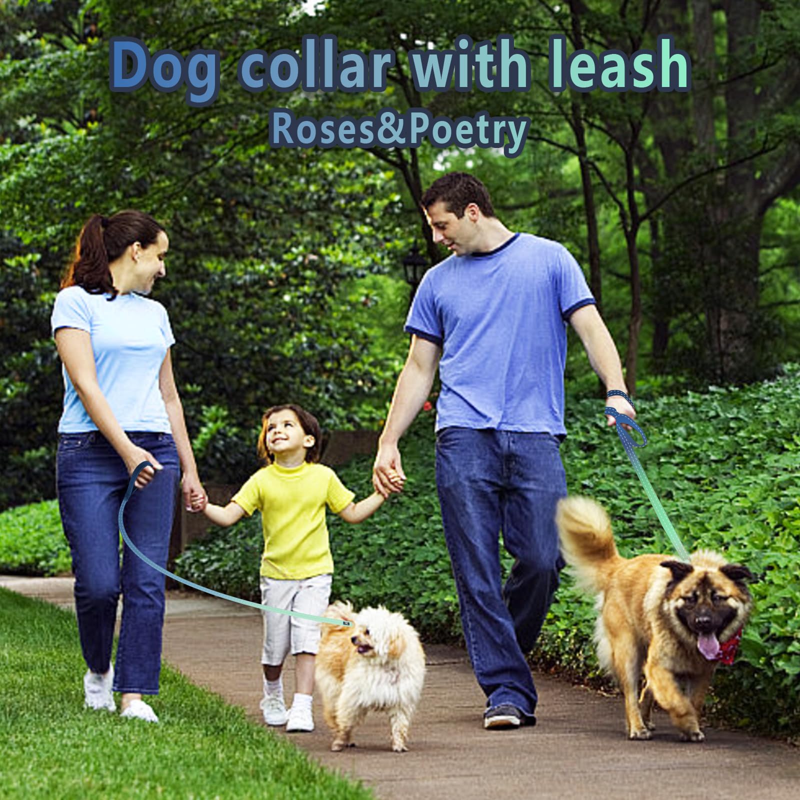 Roses&Poetry Dog Collar and Lead for Small, Adjustable Durable 5ft Puppy Leash Collar for Dog Training Lead (Black & White-S) - Furr-Reel