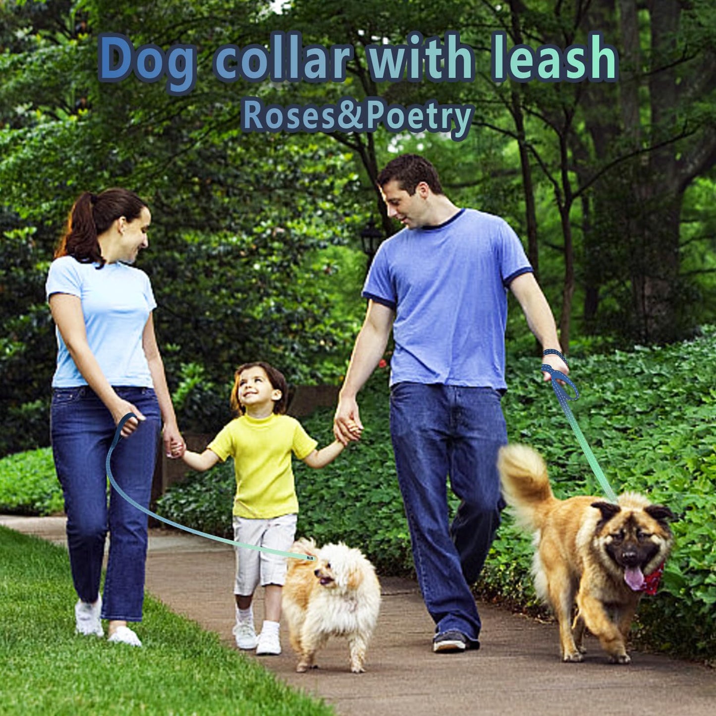 Roses&Poetry Dog Collar and Lead for Small, Adjustable Durable 5ft Puppy Leash Collar for Dog Training Lead (Black & White-S) - Furr-Reel