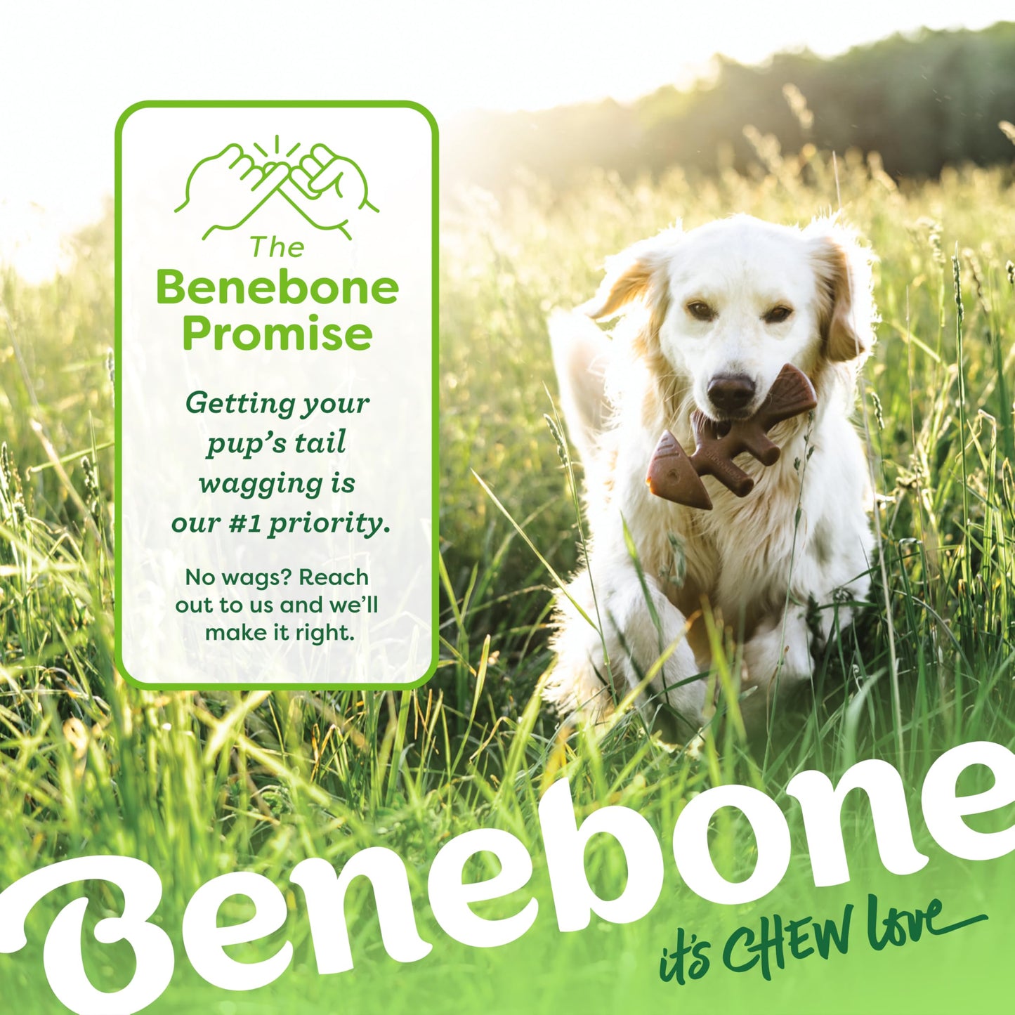 Benebone Small 4-Pack Dog Chew Toys for Aggressive Chewers, Made in USA, 30lbs and Under