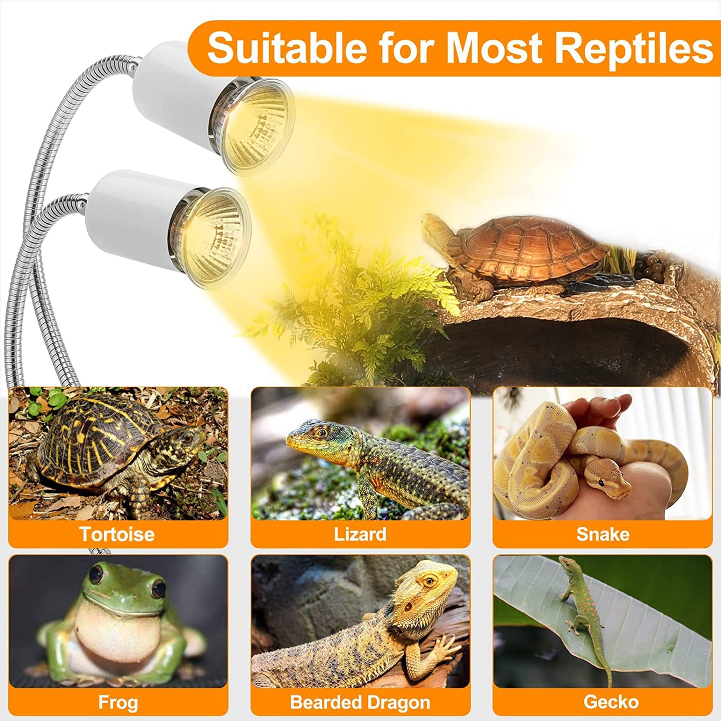 Petboda Reptile Heat Lamp, Dual Head UVA/UVB Reptile Light with Cycle Timer, Dimmable Basking Light for Turtle Tortoise Lizard Snake Bearded Dragon and More, 4 Bulbs Included (Black) - Furr-Reel