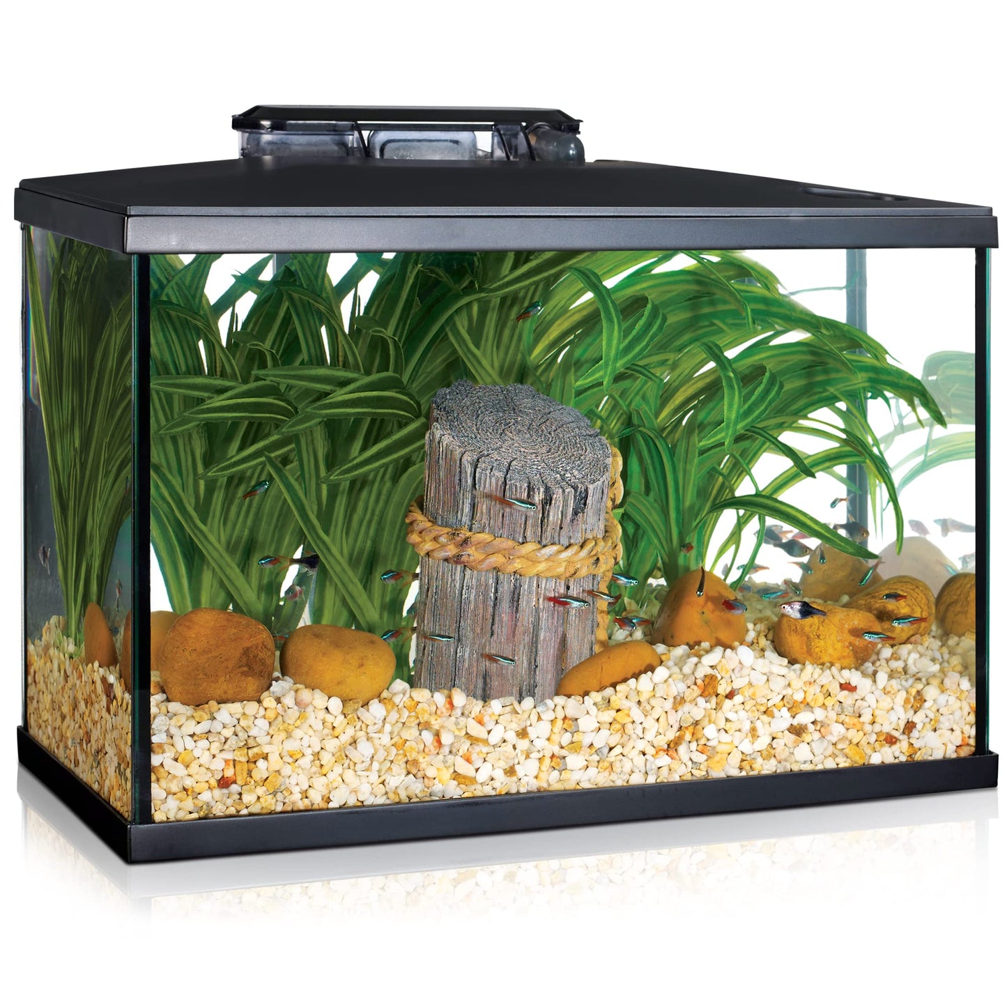 Marina LED Aquarium Kit, 10 Gallon, (15256A1)