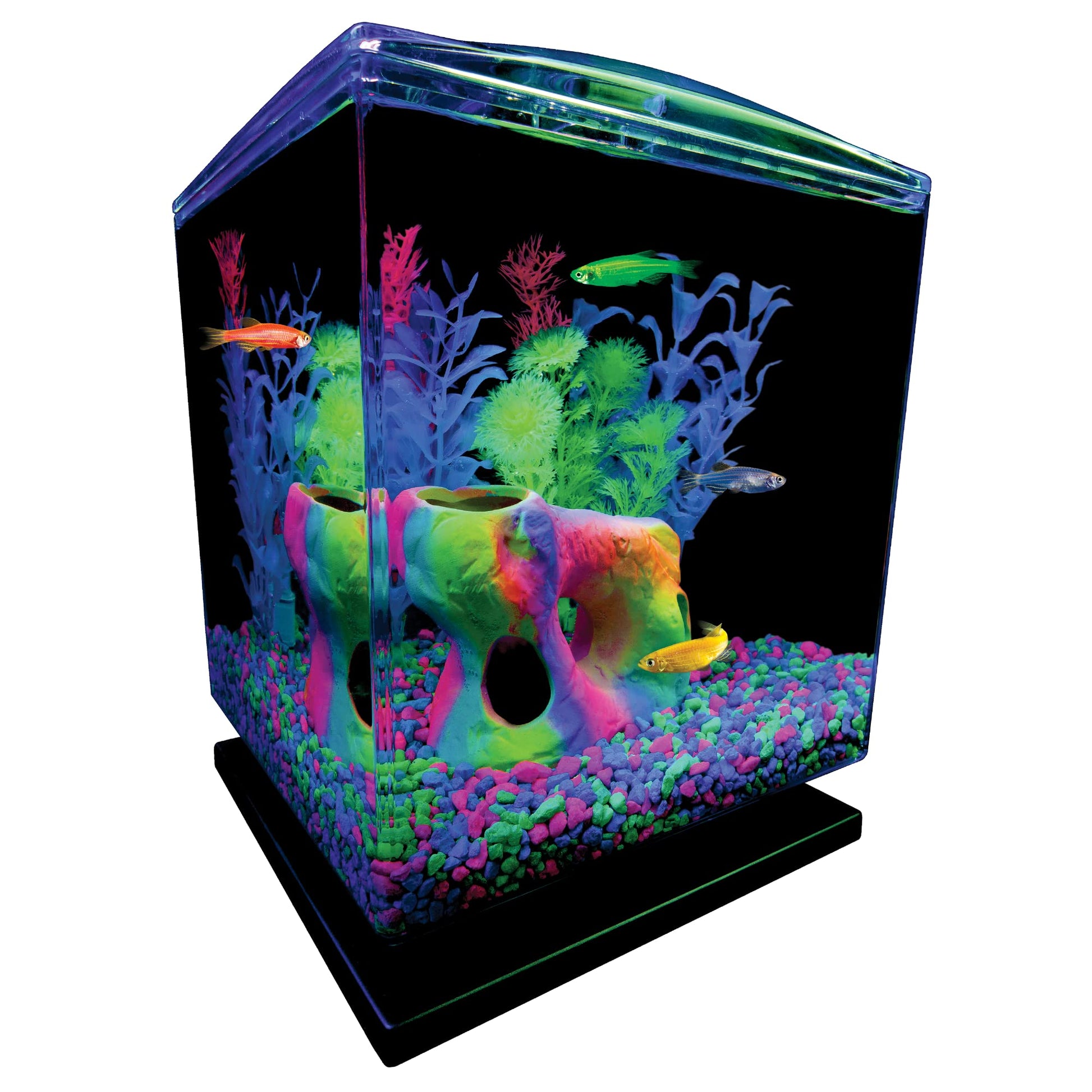 Glofish Aquarium Gravel, Black with Fluorescent Highlights, 5-Pound Bag - Furr-Reel