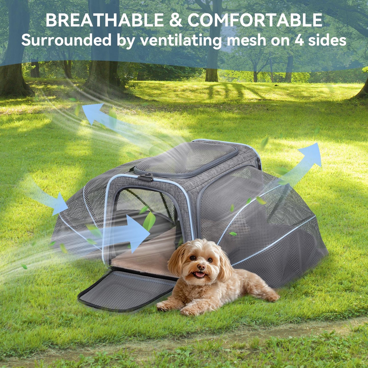 Petsfit Rabbit Carrier Bunny Carriers, Airline Approved Soft-Sided Pet Carrier for Guinea Pig/Cat/Dog/Kittens/Puppy, 16"x 10"x 9"