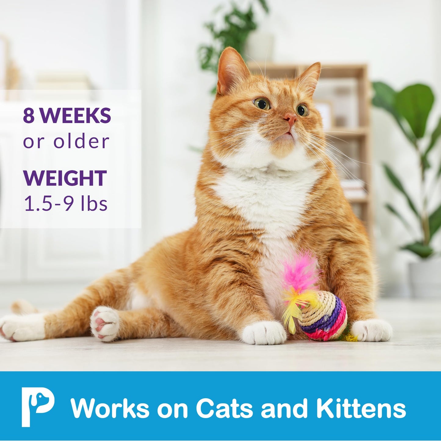 Cats & Kittens Over 1.5 lbs and 8 Weeks or Older – 6-Dose Supply (6)