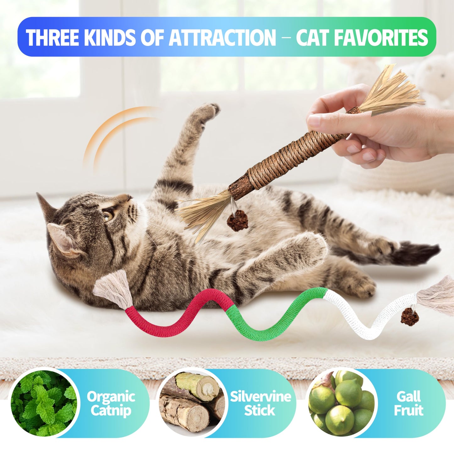 4 Pcs Cat & Kitten Chew Toy, Cat Toys Ropes and Silvervine Chew Sticks with Refillable Natural Catnip Bag for Teeth Cleaning, Safe Interactive Toys for Indoor Cats