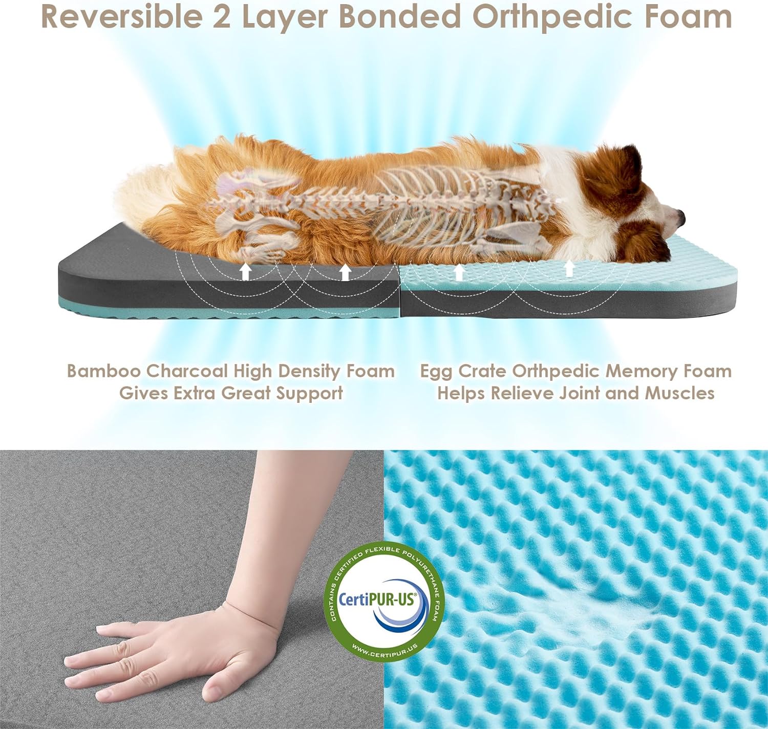 EHEYCIGA Foldable XXL Dog Bed, 54"x38"x7.5" Memory Foam Orthopedic Dog Couch for Extra Large Dogs, Calming Waterproof Pet Sofa with Washable Cover, Human Dog Bed for Kids, Dark Grey - Furr-Reel