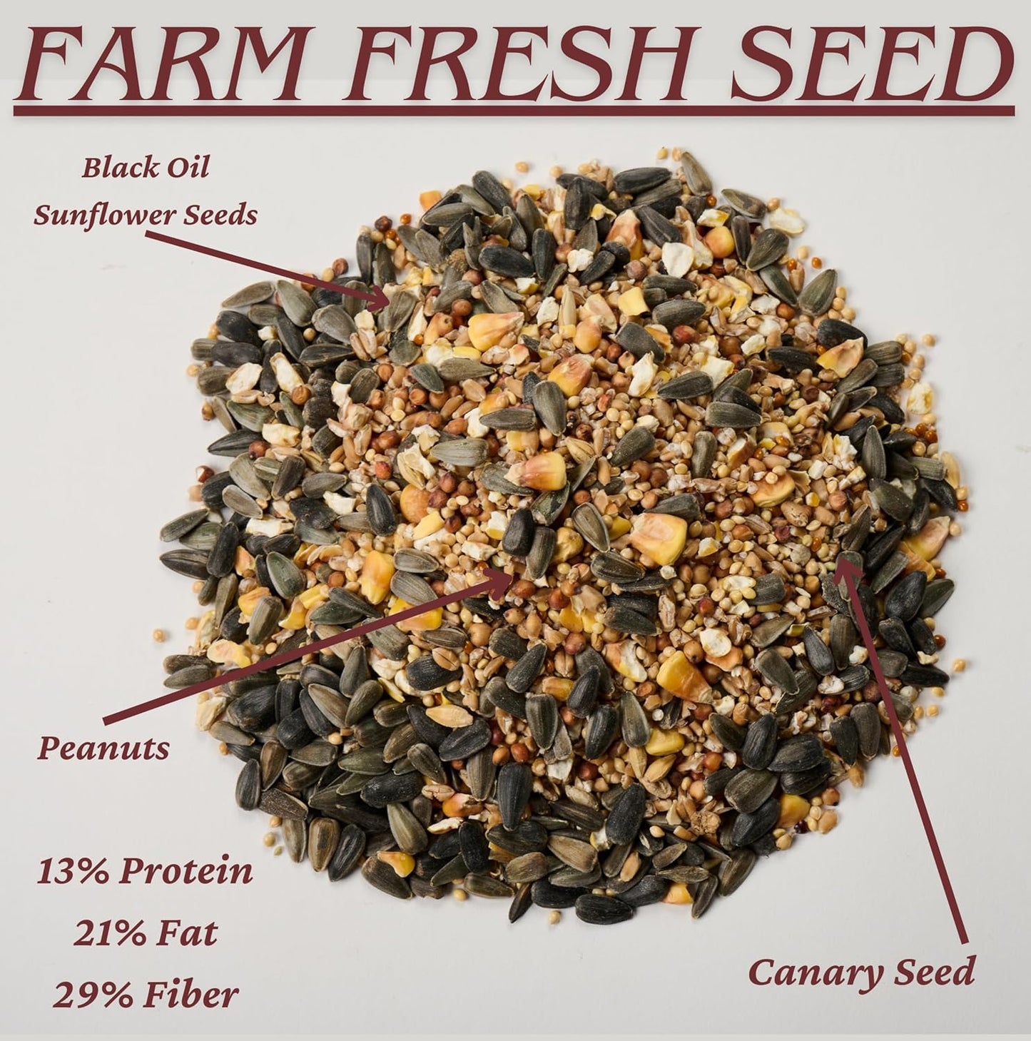 Agri-Tel Premium All Season Wild Songbird Bird Seed for Outside Feeders | 4 kg (9 lb)