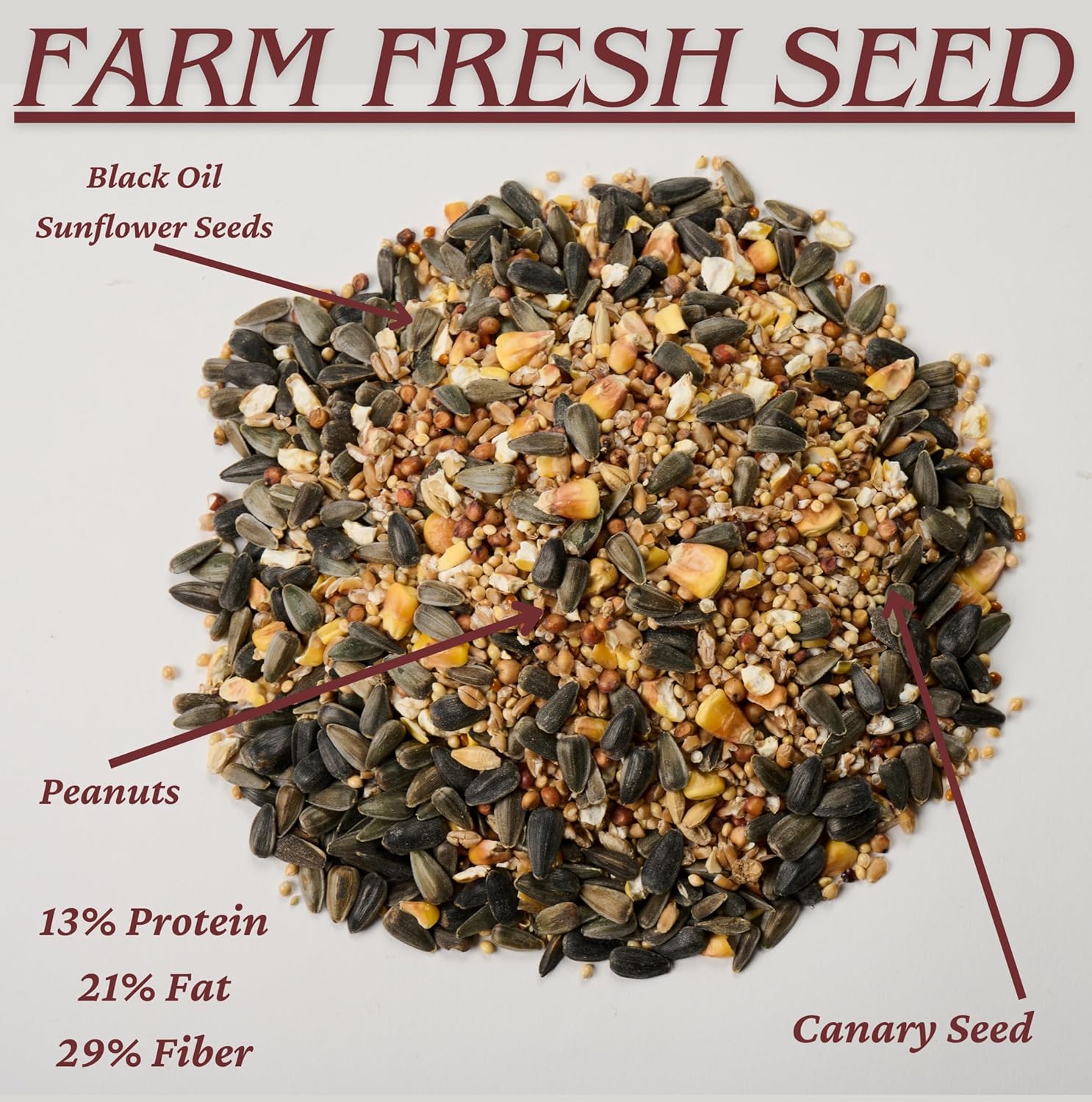 Agri-Tel Premium All Season Wild Songbird Bird Seed for Outside Feeders | 4 kg (9 lb)