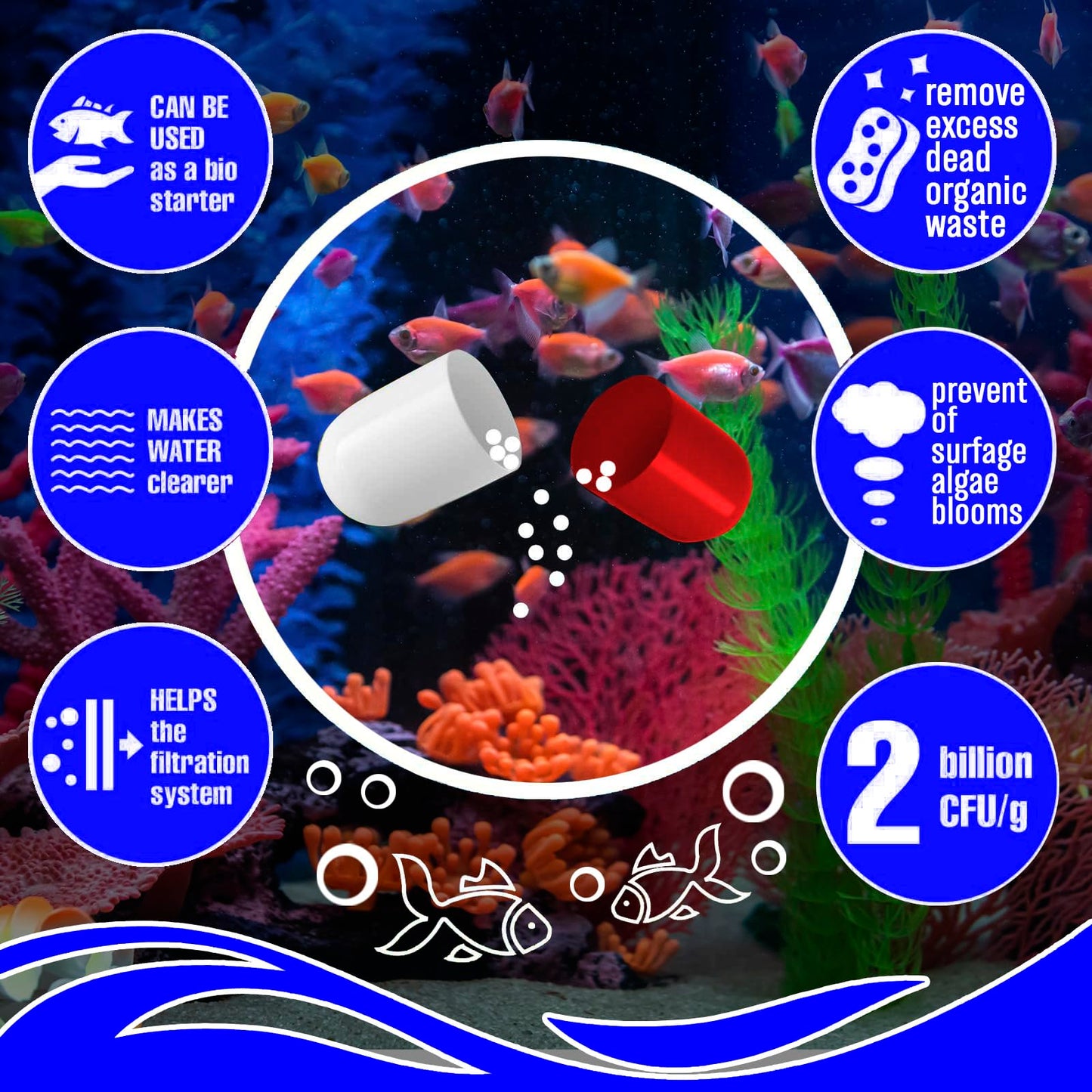 Beseder Nettoyant biologique pour aquarium Rend l'eau plus saine, réduit les nitrites et l'ammoniac pour des poissons heureux et beaucoup moins de nettoyage. Fournitures d'aquarium pour filtre