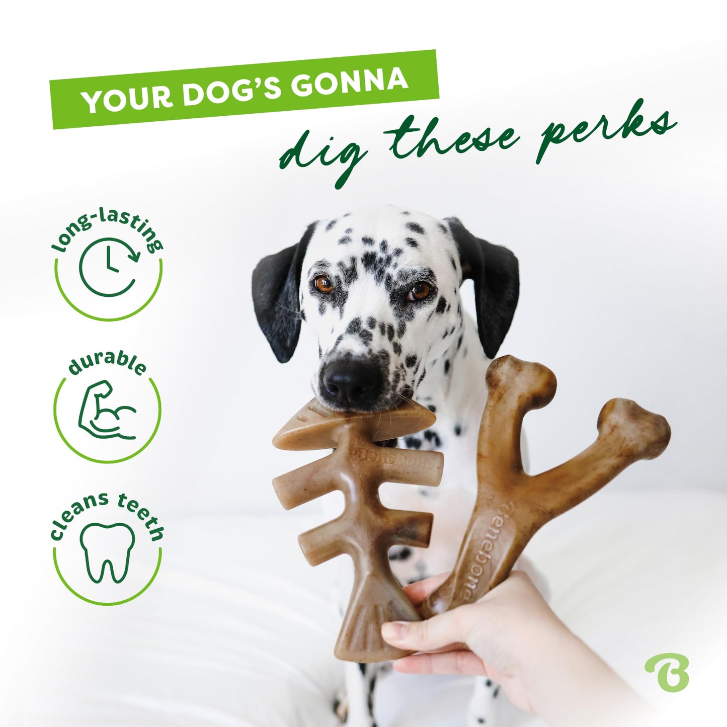 Benebone Small 4-Pack Dog Chew Toys for Aggressive Chewers, Made in USA, 30lbs and Under