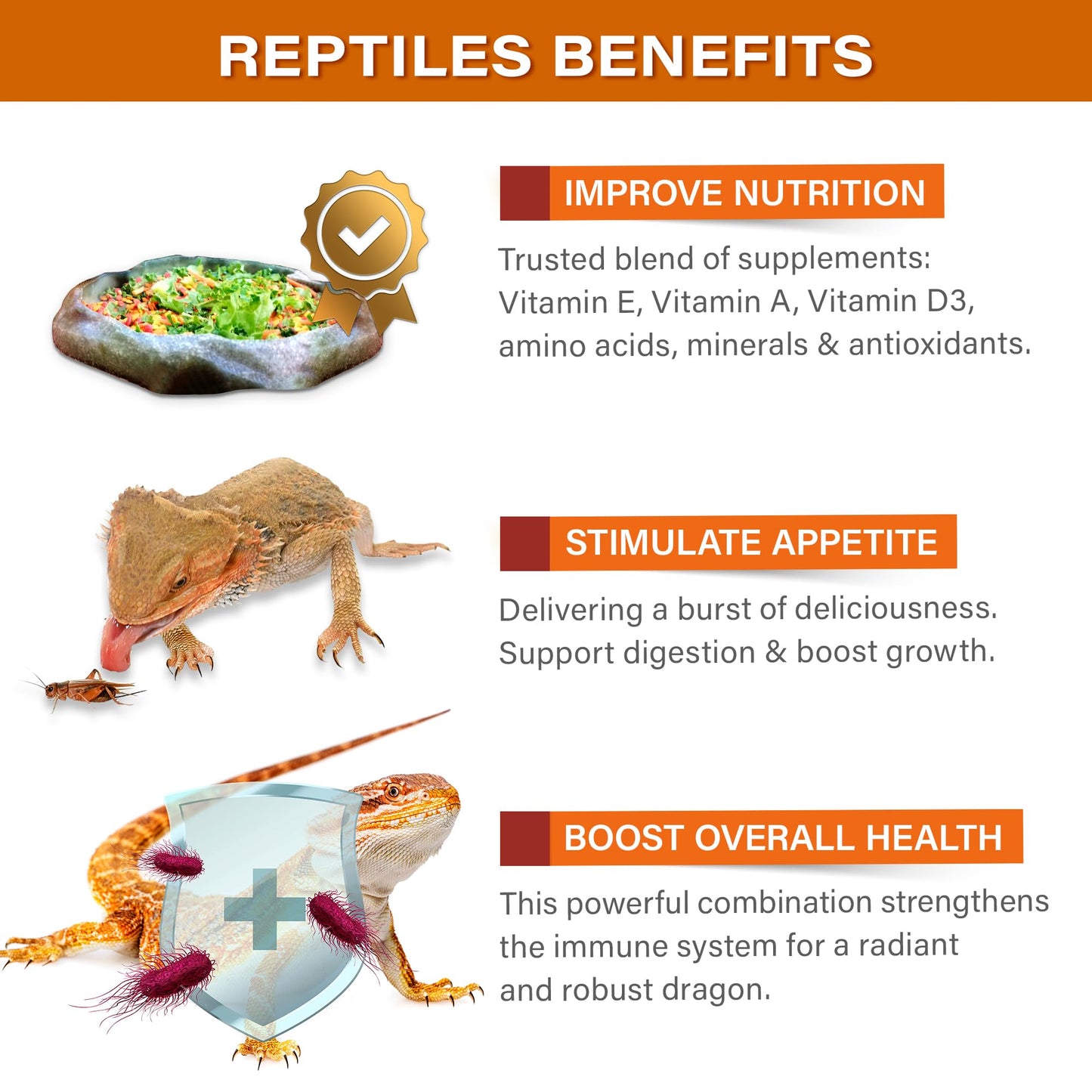 Gargeer Bearded Dragon Salad Topper: Supercharge Healthy Diet Supplement - Essential Nutrition Care Blend for Strength & Robust Immune System in Juvenile & Adult Dragons 2oz, Made in The USA. Enjoy!