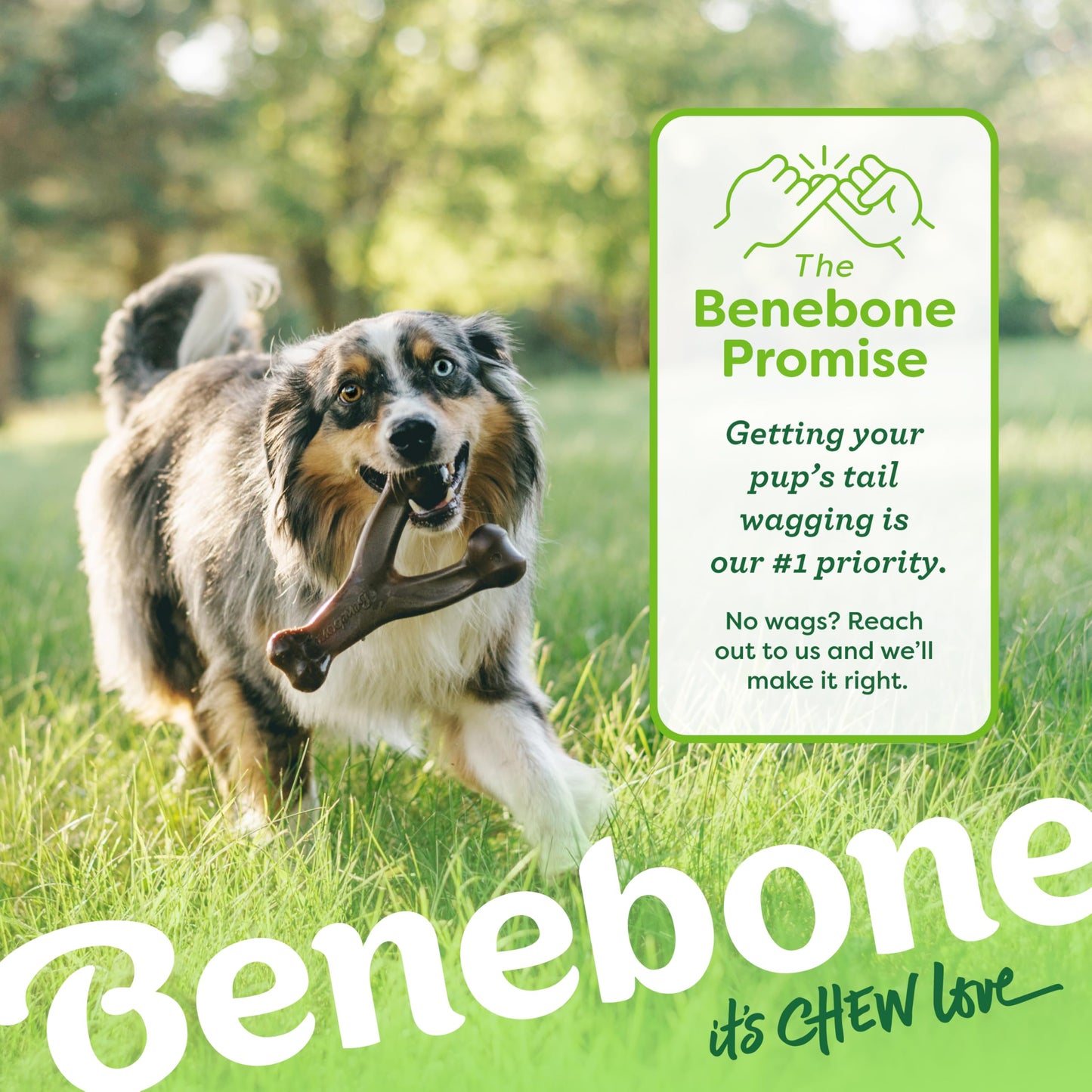 Benebone Small 4-Pack Dog Chew Toys for Aggressive Chewers, Made in USA, 30lbs and Under
