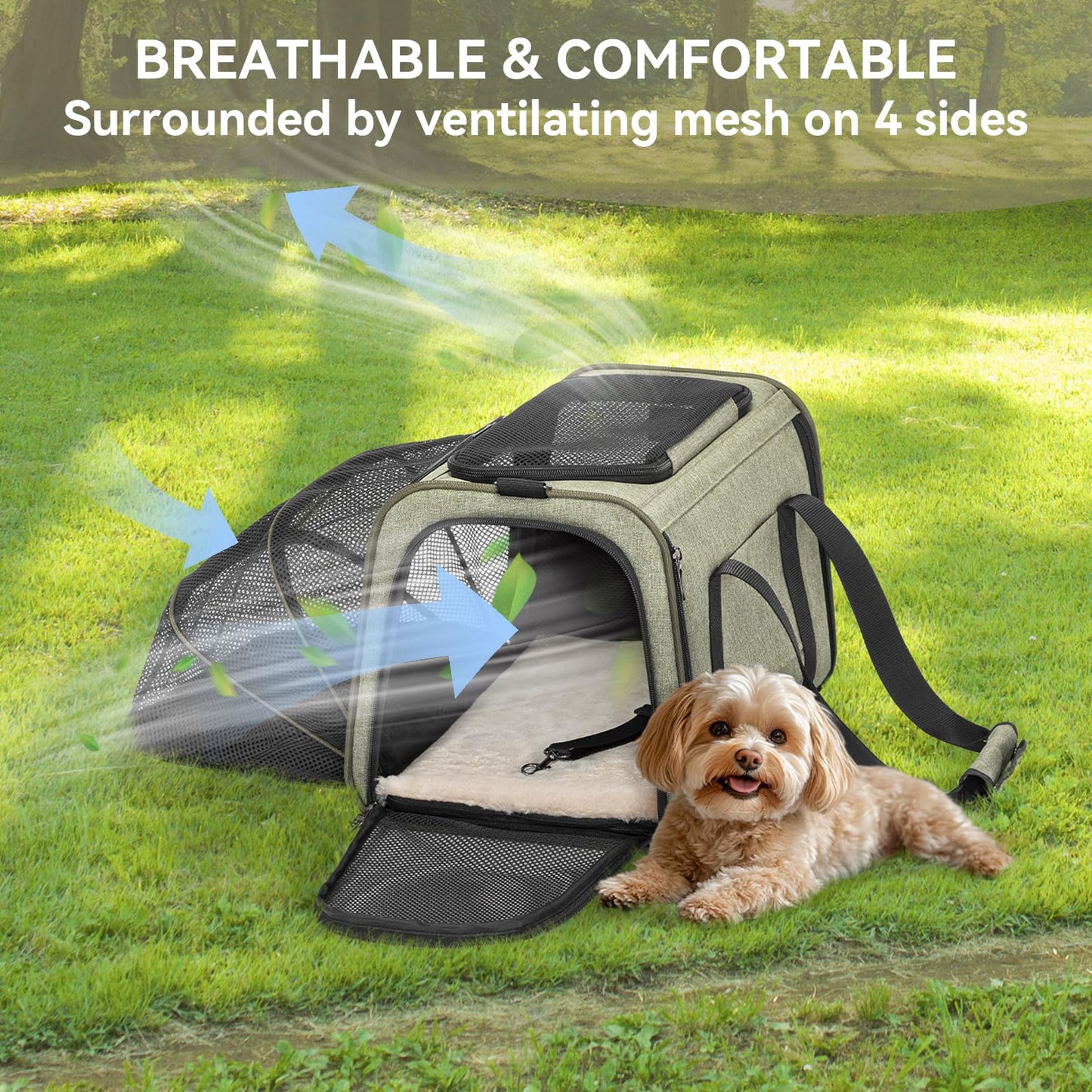 Petsfit Rabbit Carrier Bunny Carriers, Airline Approved Soft-Sided Pet Carrier for Guinea Pig/Cat/Dog/Kittens/Puppy, 16"x 10"x 9"