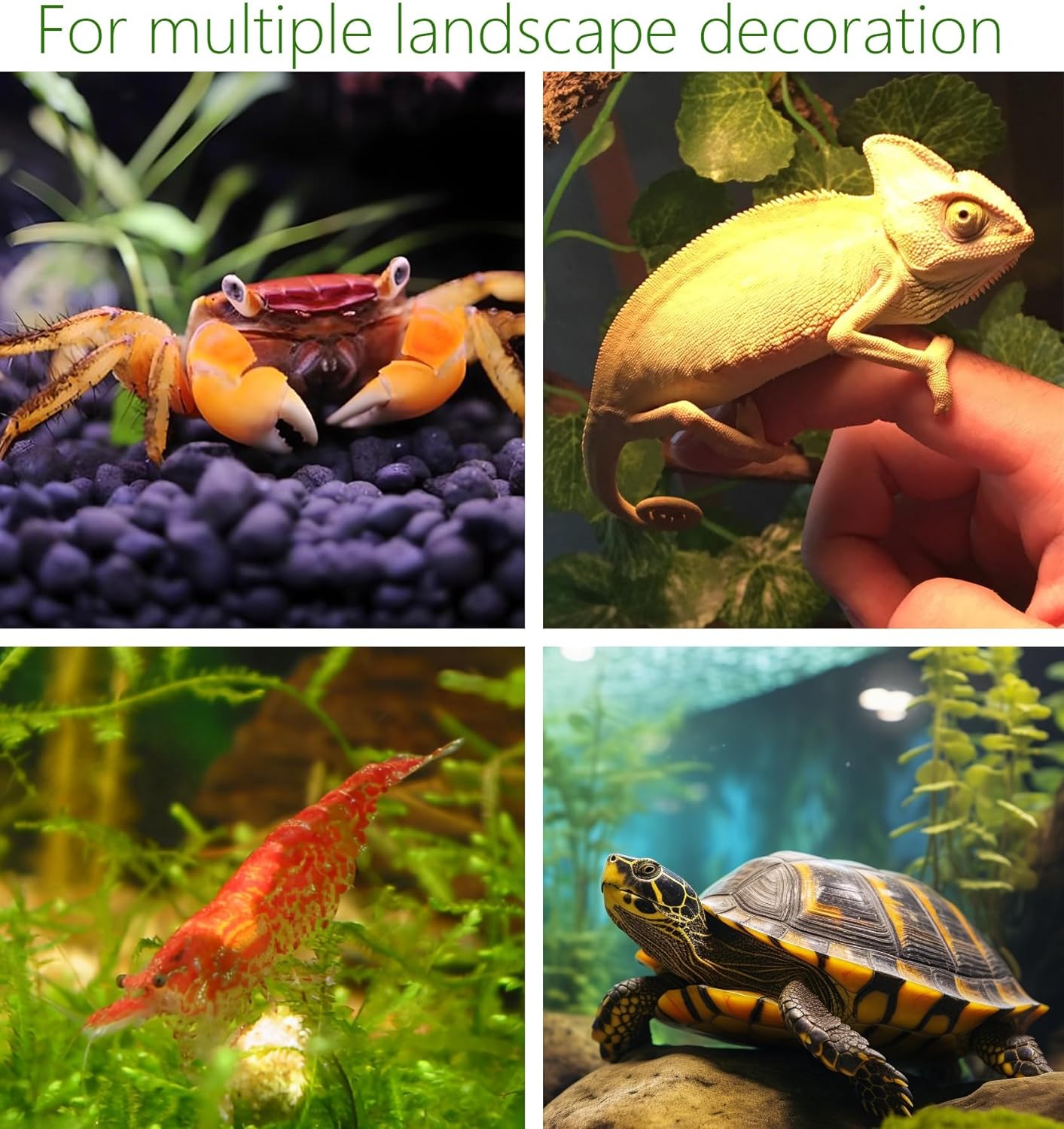 SpringSmart Aquarium Hideaway Rock Cave for Aquatic Pets to Breed, Play and Rest, Safe and Non-Toxic Ceramic Fish Tank Ornaments, Decor Stone for Betta