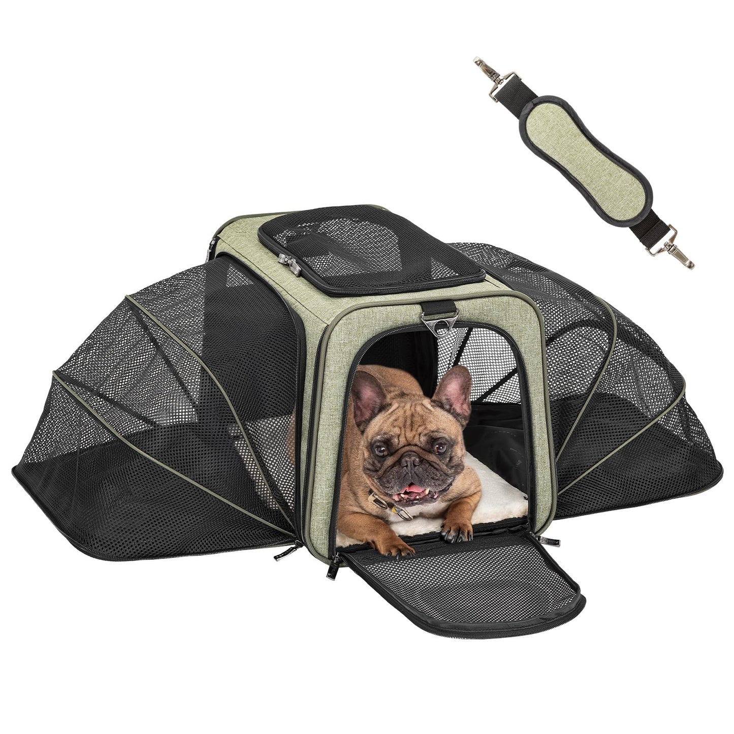 Petsfit Rabbit Carrier Bunny Carriers, Airline Approved Soft-Sided Pet Carrier for Guinea Pig/Cat/Dog/Kittens/Puppy, 16"x 10"x 9"