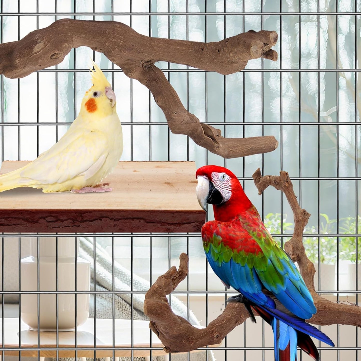 Parrot Perch Bird Perch Stand Set Natural Wild Wood Grape Sticks Paw Grinding Fork Parakeet Climbing Standing Branches Toys Cage Accessories for Conure,Cockatiels Lovebirds,Budgies Chewable 6PC Furr-Reel